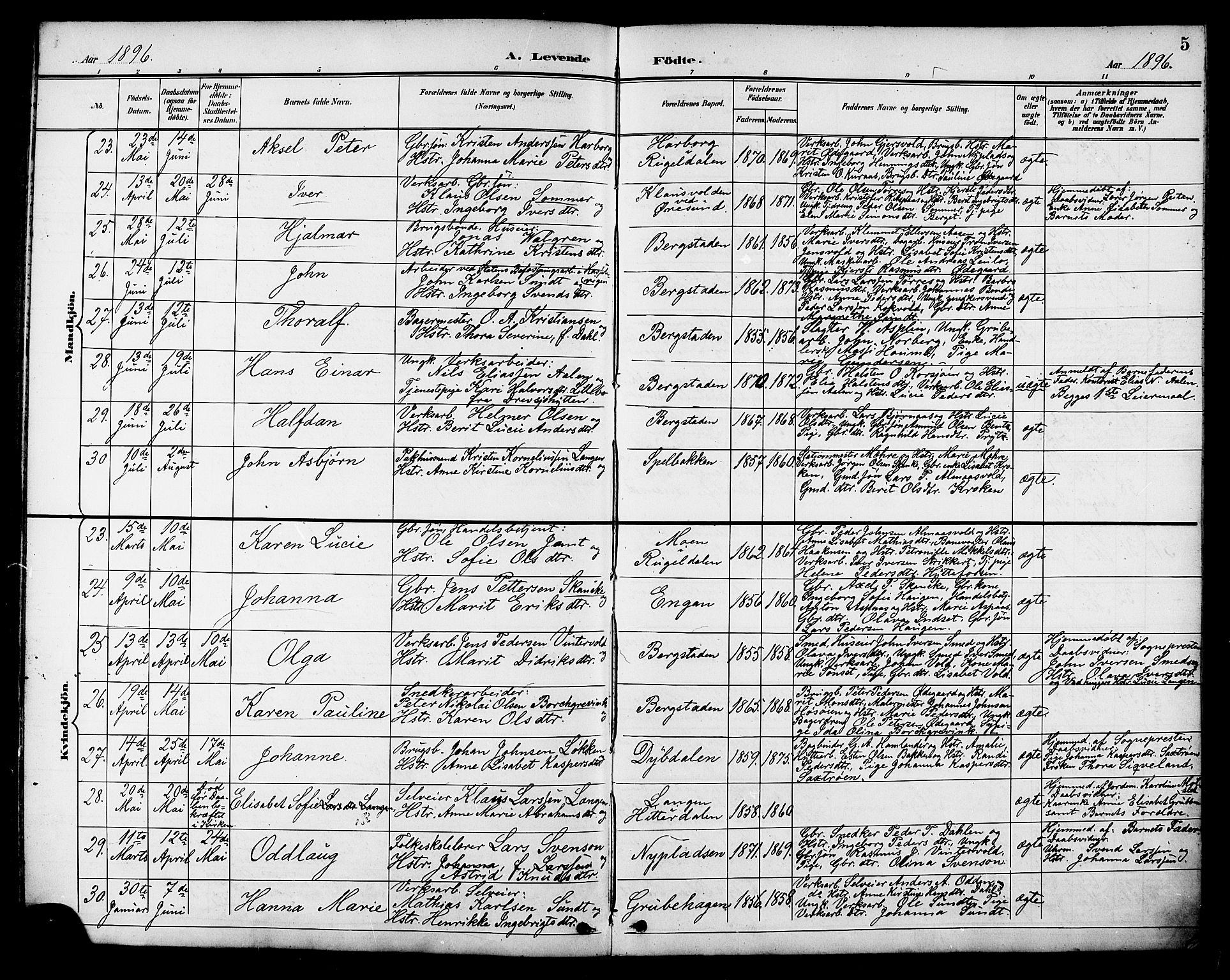 Ministerialprotokoller, klokkerbøker og fødselsregistre - Sør-Trøndelag, SAT/A-1456/681/L0941: Klokkerbok nr. 681C05, 1896-1905, s. 5