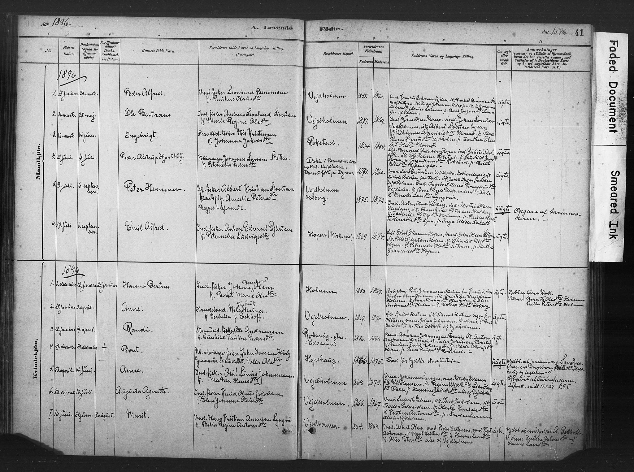 Ministerialprotokoller, klokkerbøker og fødselsregistre - Møre og Romsdal, AV/SAT-A-1454/583/L0954: Ministerialbok nr. 583A01, 1880-1906, s. 41