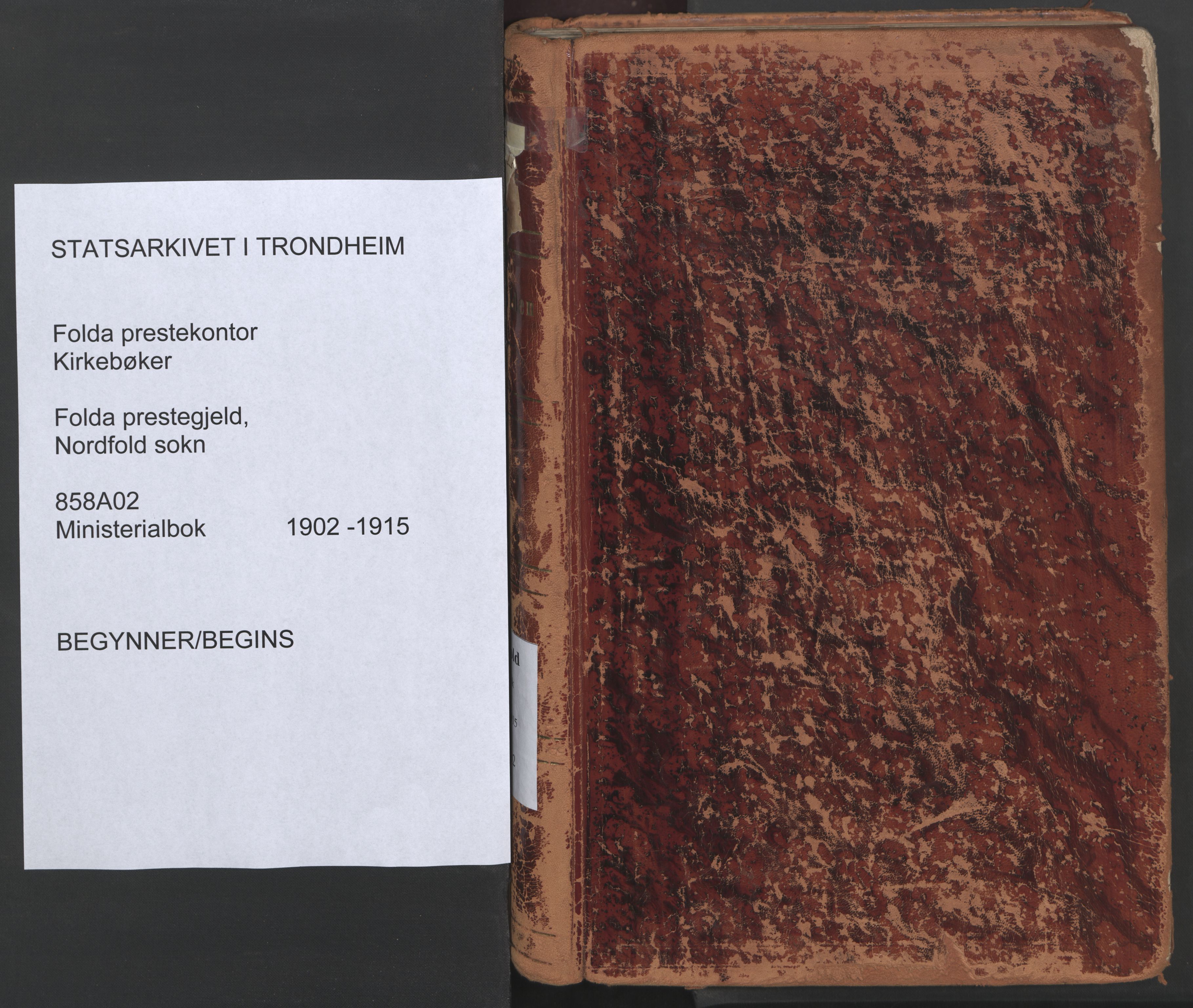 Ministerialprotokoller, klokkerbøker og fødselsregistre - Nordland, AV/SAT-A-1459/858/L0832: Ministerialbok nr. 858A02, 1902-1915