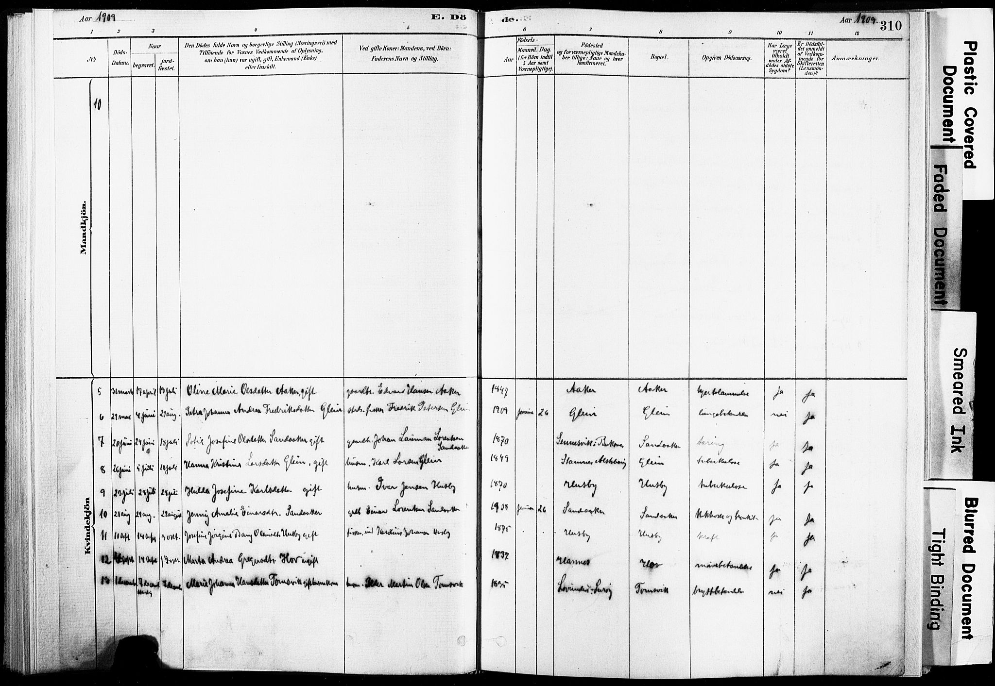 Ministerialprotokoller, klokkerbøker og fødselsregistre - Nordland, AV/SAT-A-1459/835/L0526: Ministerialbok nr. 835A03II, 1881-1910, s. 310