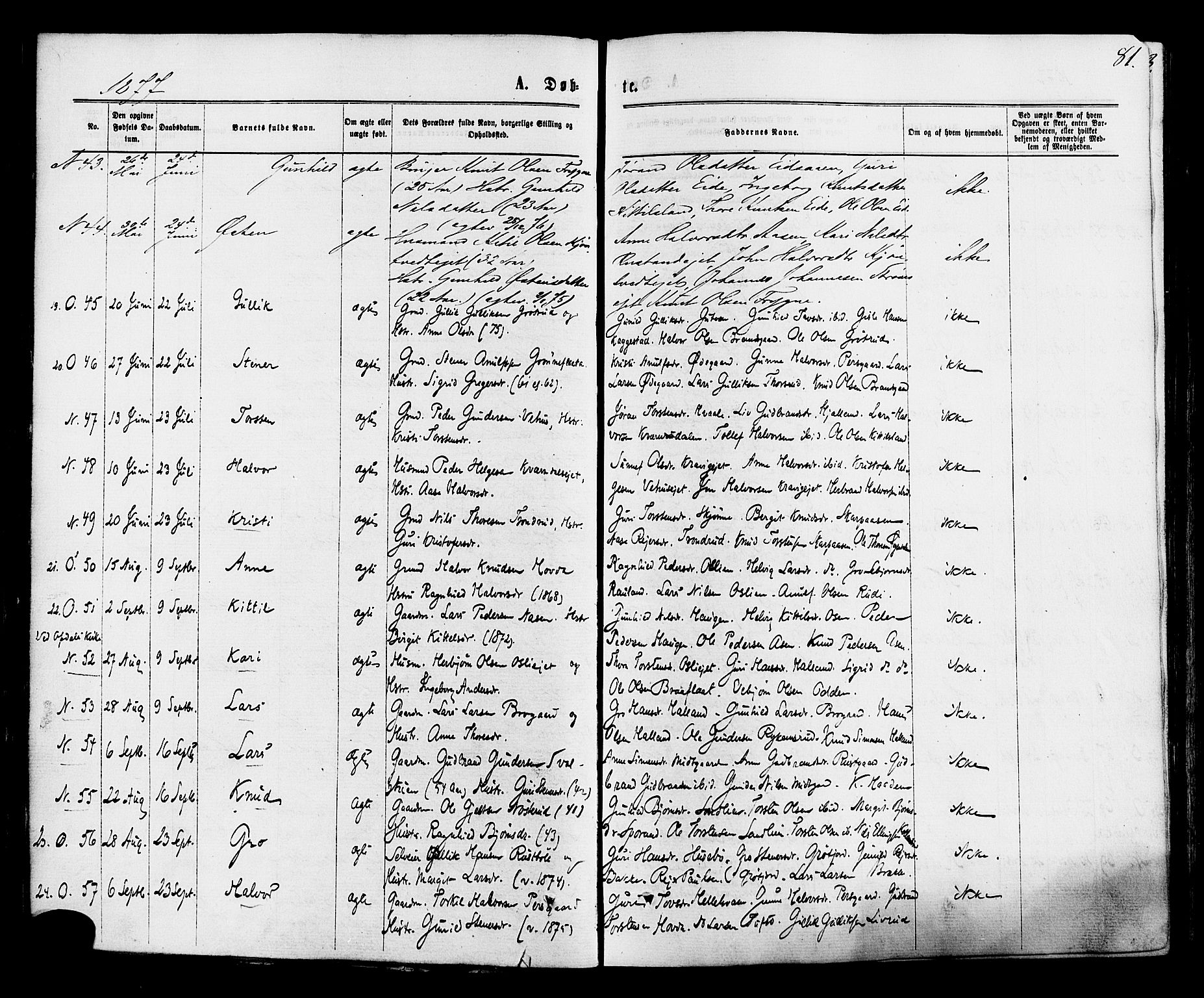 Nore kirkebøker, AV/SAKO-A-238/F/Fa/L0004: Ministerialbok nr. I 4, 1867-1877, s. 81