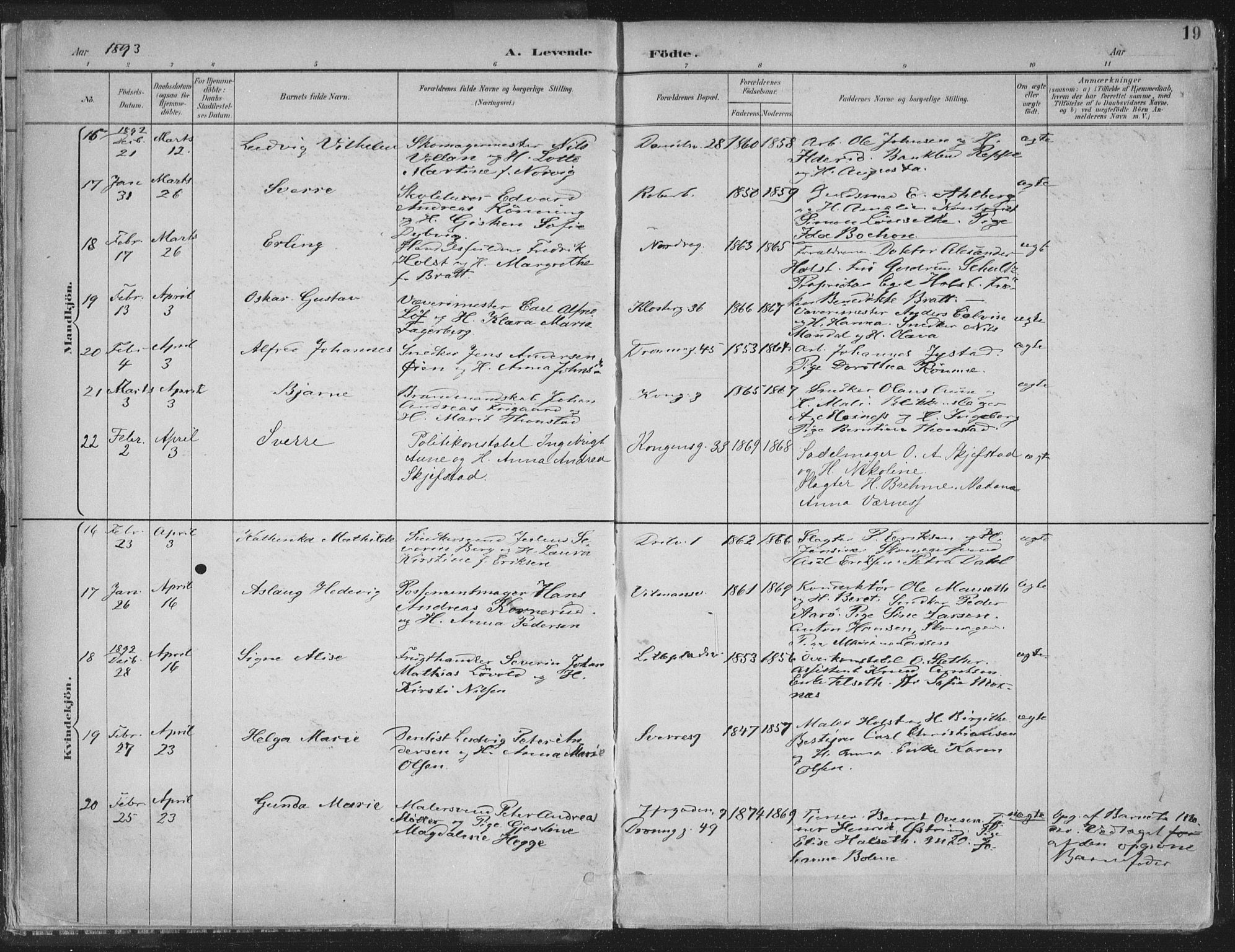 Ministerialprotokoller, klokkerbøker og fødselsregistre - Sør-Trøndelag, AV/SAT-A-1456/601/L0062: Ministerialbok nr. 601A30, 1891-1911, s. 19
