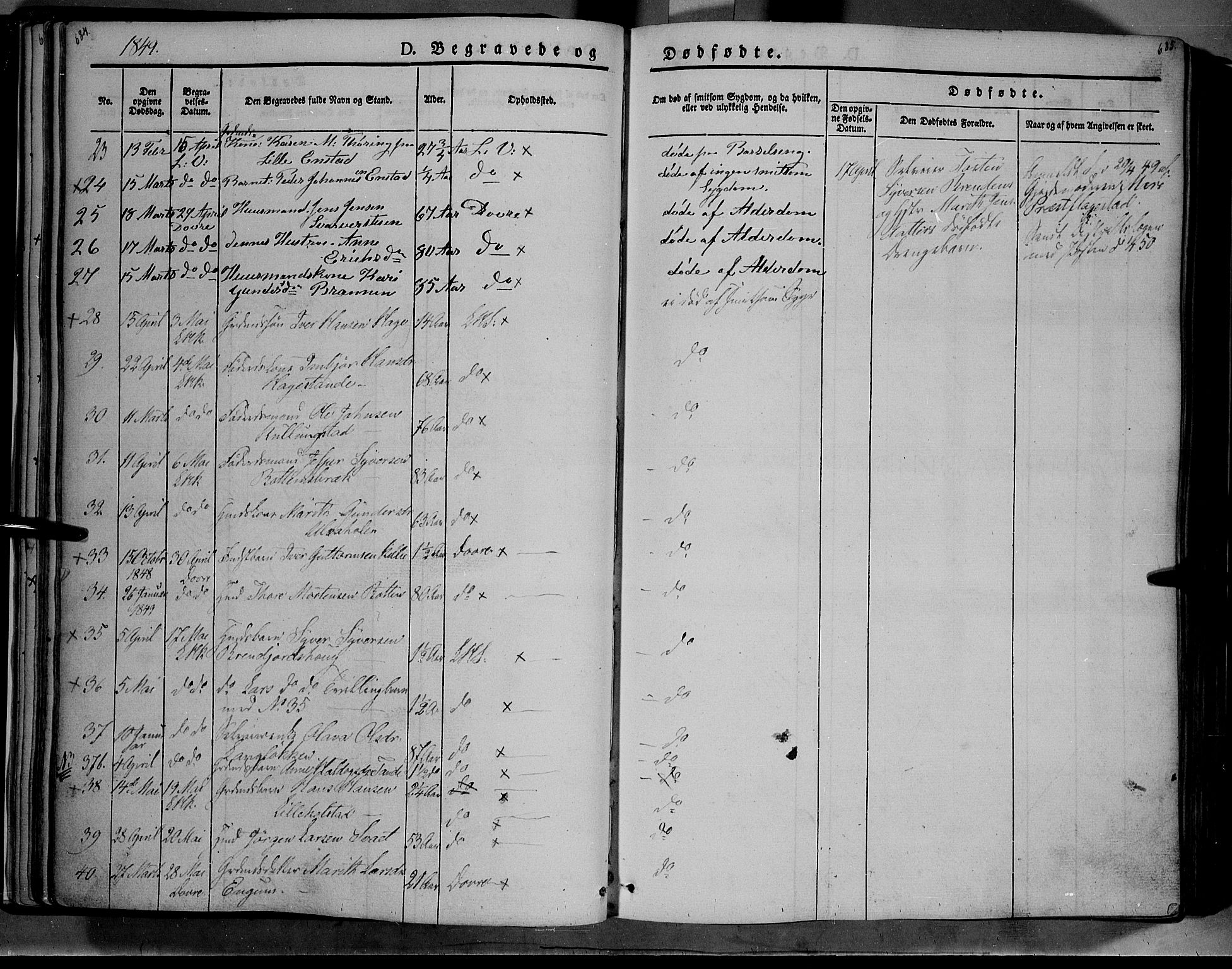 Lesja prestekontor, AV/SAH-PREST-068/H/Ha/Haa/L0006: Ministerialbok nr. 6B, 1843-1854, s. 684-685
