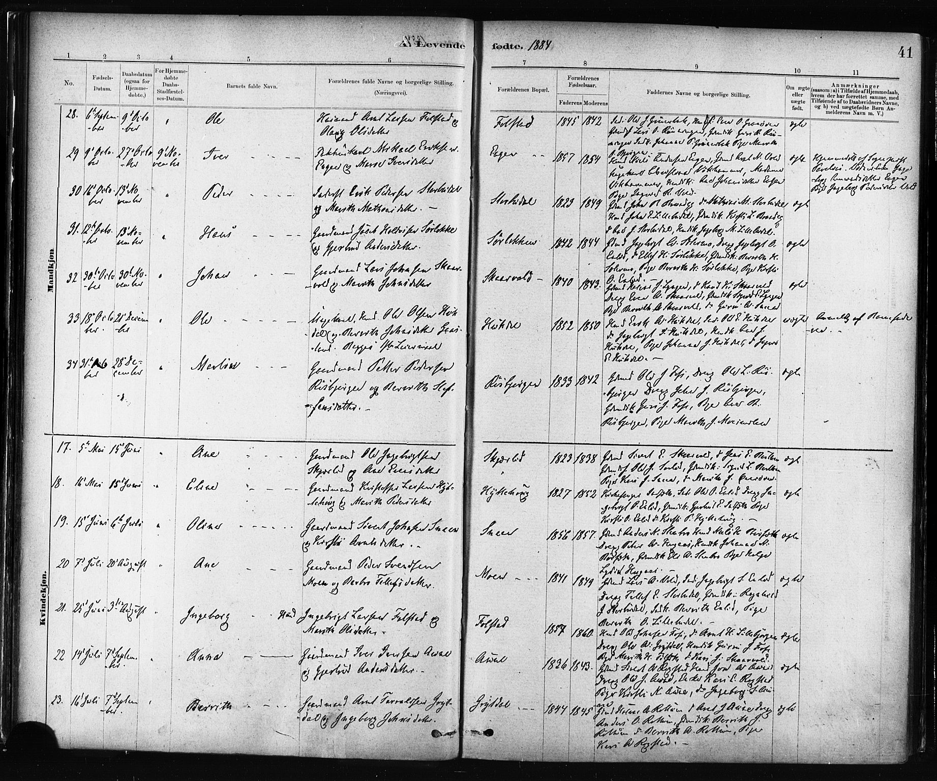 Ministerialprotokoller, klokkerbøker og fødselsregistre - Sør-Trøndelag, SAT/A-1456/687/L1002: Ministerialbok nr. 687A08, 1878-1890, s. 41