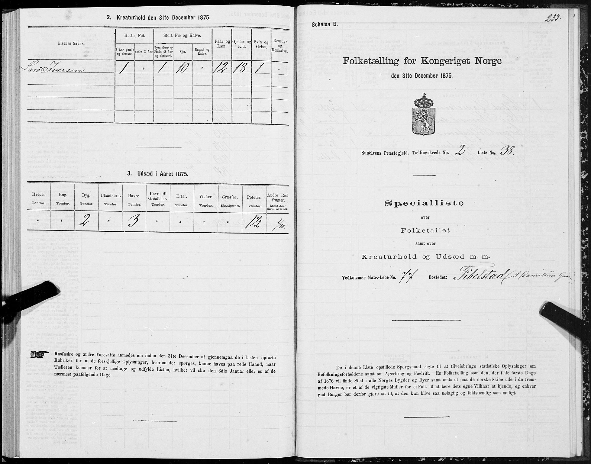 SAT, Folketelling 1875 for 1523P Sunnylven prestegjeld, 1875, s. 1233