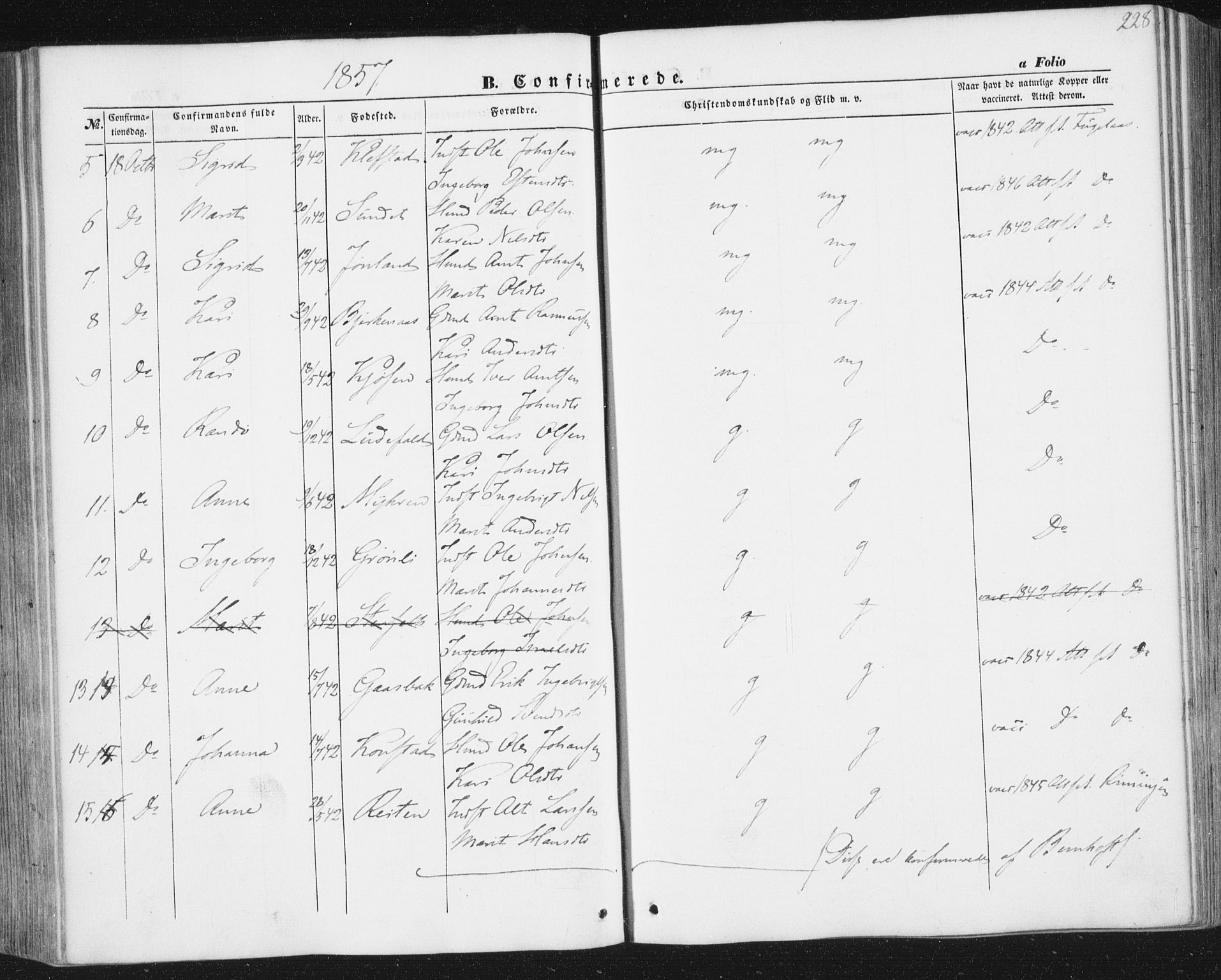 Ministerialprotokoller, klokkerbøker og fødselsregistre - Sør-Trøndelag, SAT/A-1456/691/L1076: Ministerialbok nr. 691A08, 1852-1861, s. 228