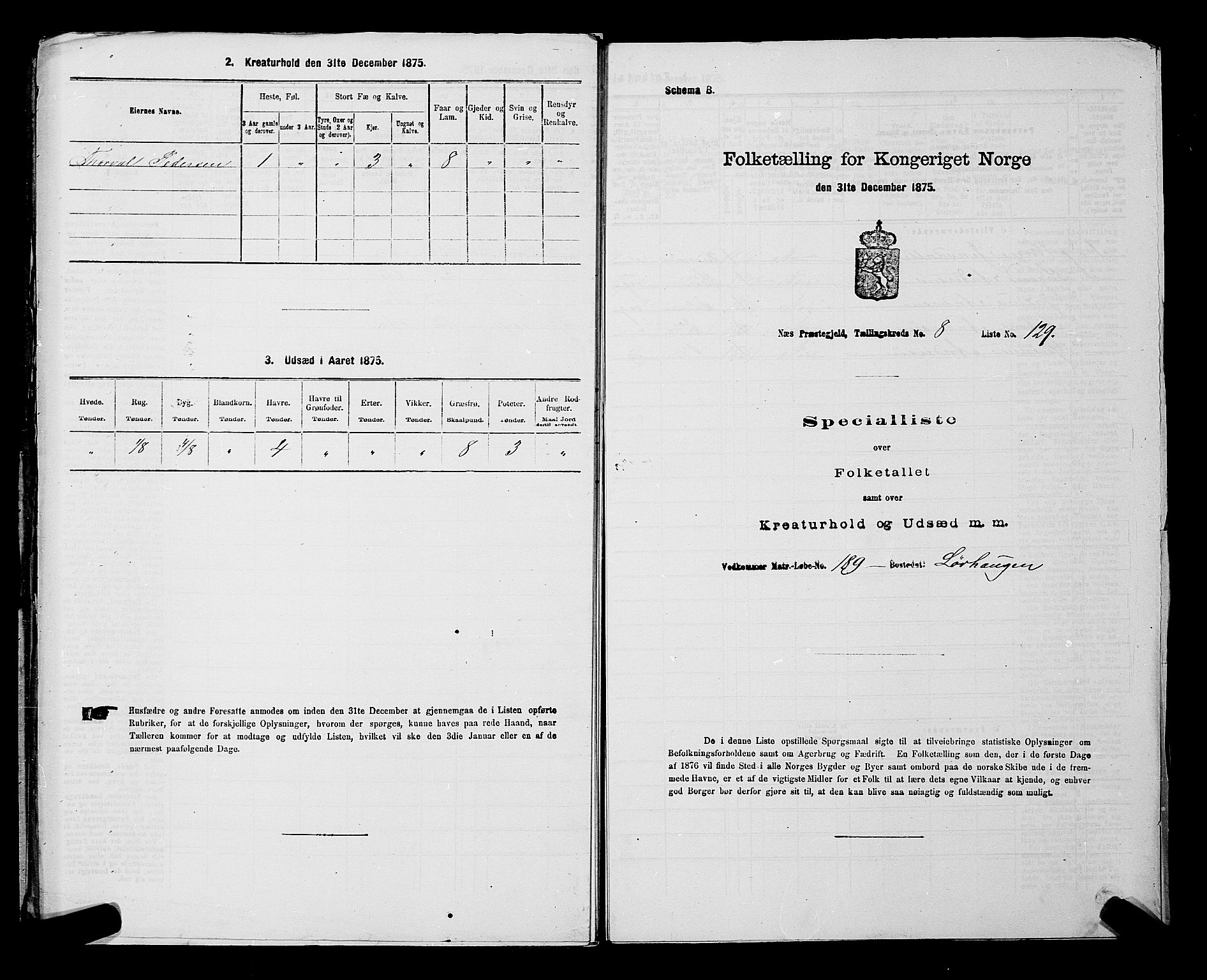 RA, Folketelling 1875 for 0236P Nes prestegjeld, 1875, s. 1489