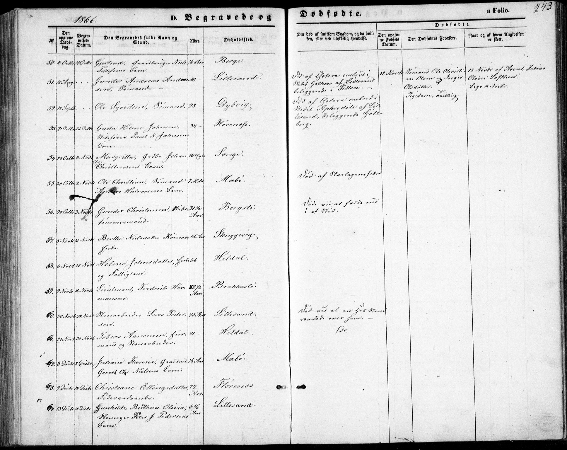 Vestre Moland sokneprestkontor, SAK/1111-0046/F/Fb/Fbb/L0004: Klokkerbok nr. B 4, 1861-1872, s. 243