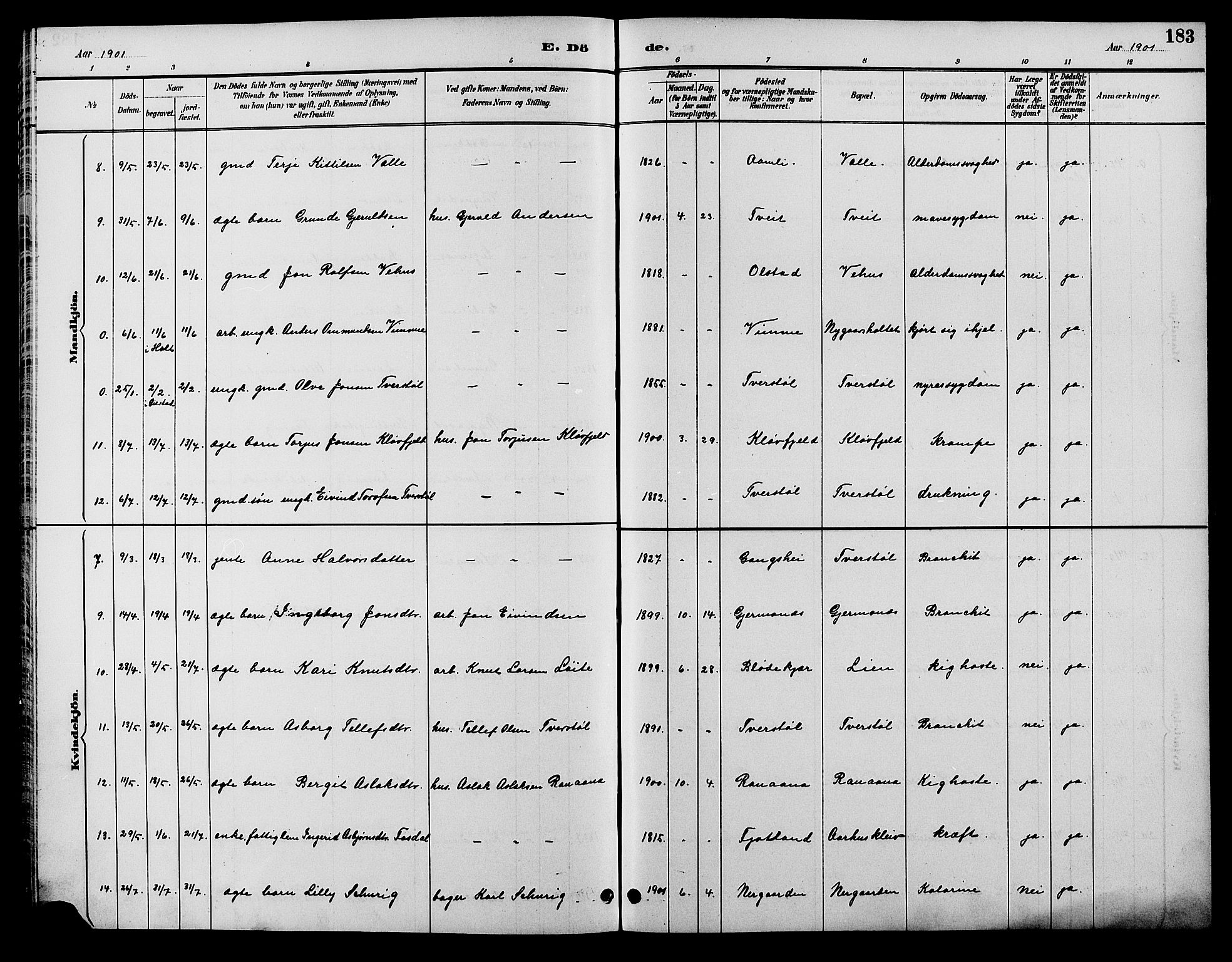 Åmli sokneprestkontor, SAK/1111-0050/F/Fb/Fbc/L0004: Klokkerbok nr. B 4, 1889-1902, s. 183