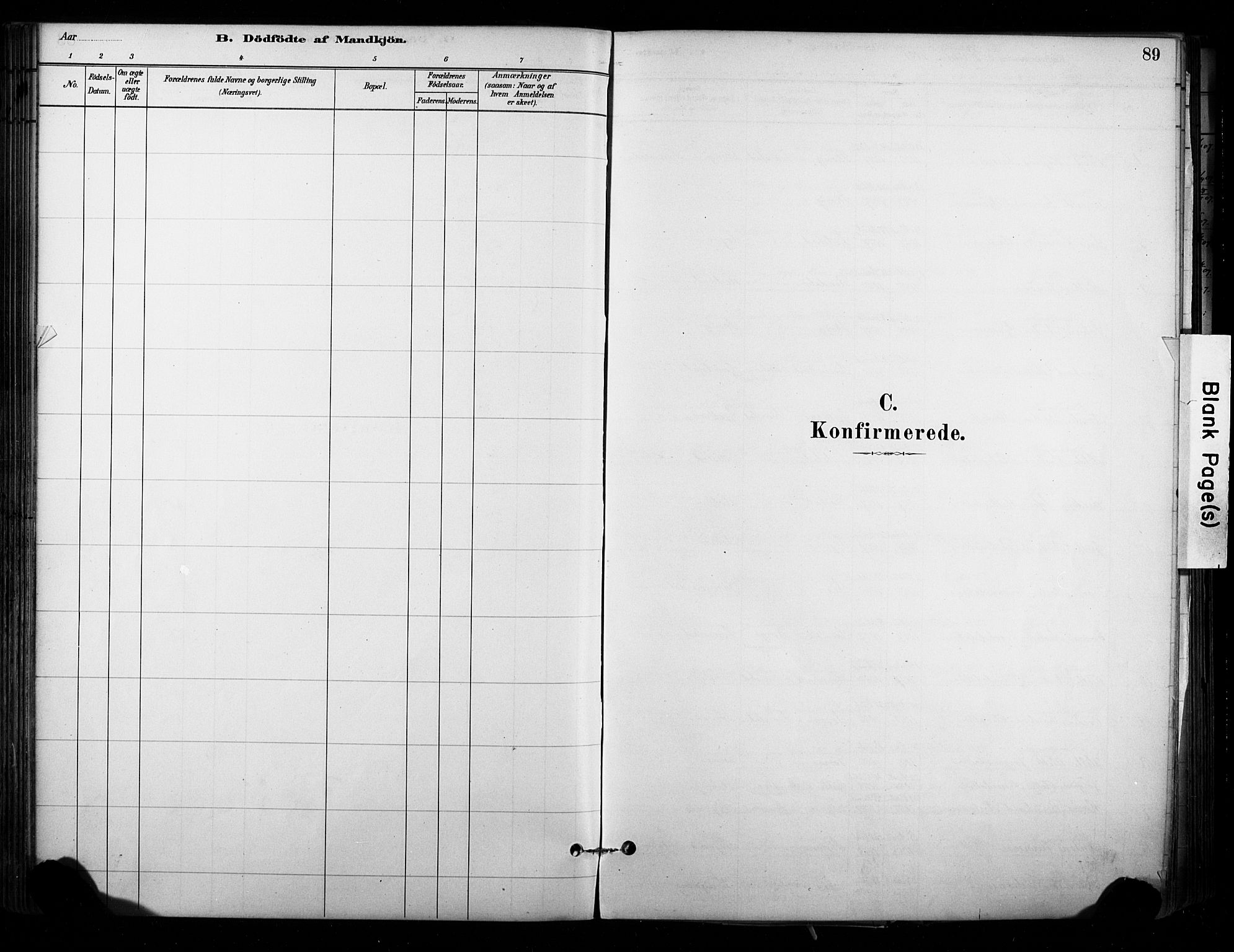 Lardal kirkebøker, AV/SAKO-A-350/F/Fb/L0001: Ministerialbok nr. II 1, 1881-1911, s. 89