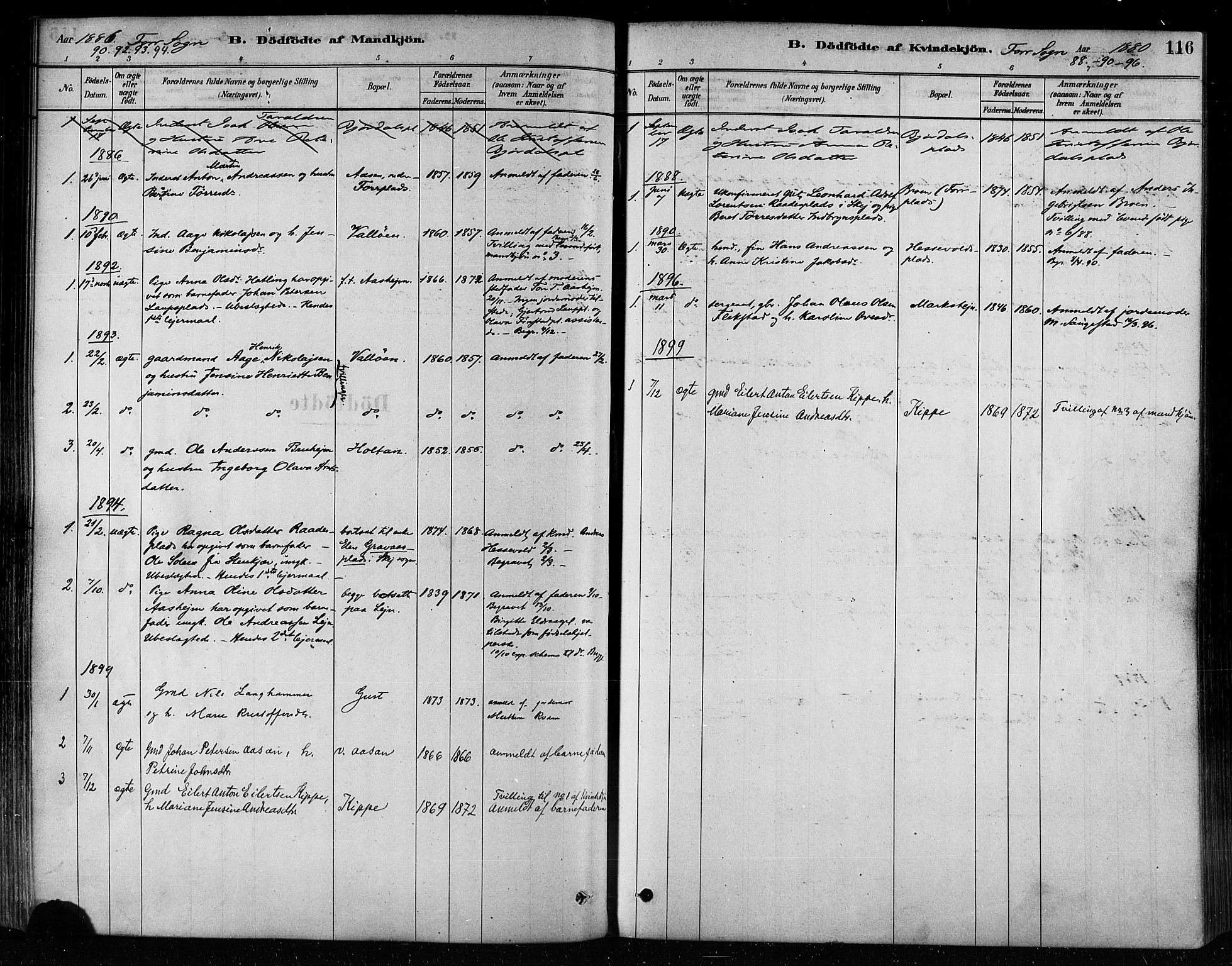 Ministerialprotokoller, klokkerbøker og fødselsregistre - Nord-Trøndelag, SAT/A-1458/746/L0448: Ministerialbok nr. 746A07 /1, 1878-1900, s. 116