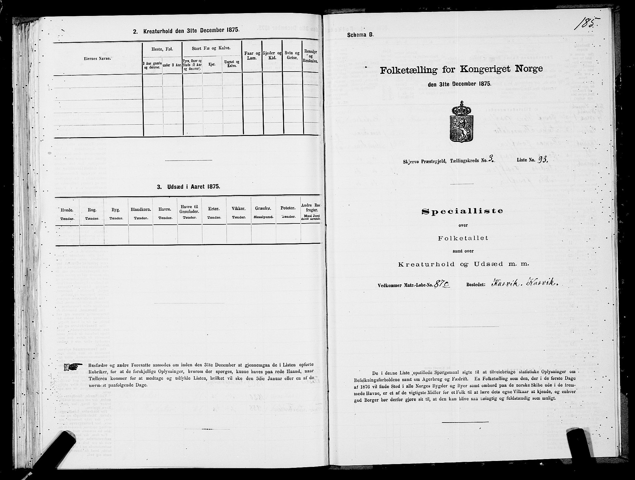 SATØ, Folketelling 1875 for 1941P Skjervøy prestegjeld, 1875, s. 2185