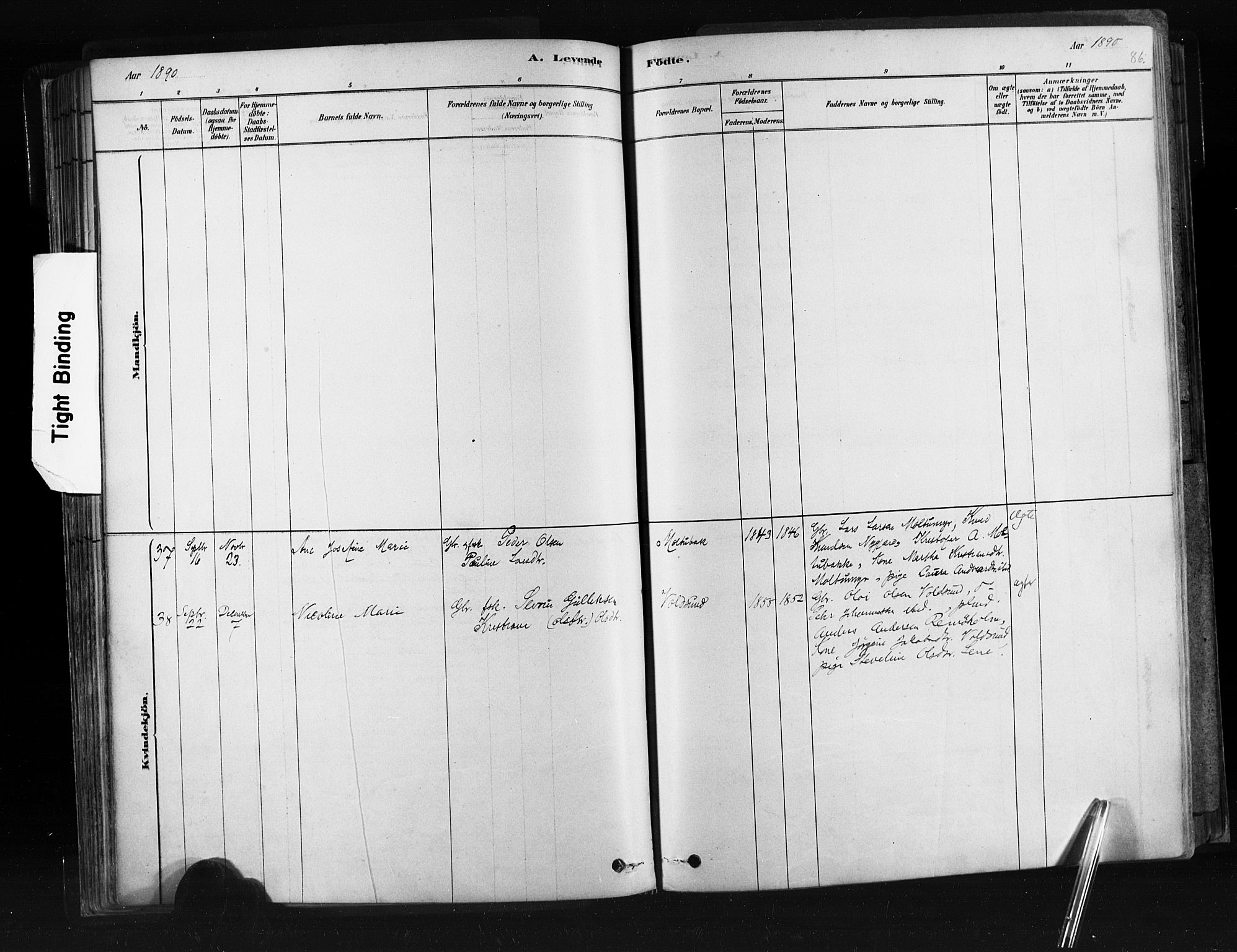 Ministerialprotokoller, klokkerbøker og fødselsregistre - Møre og Romsdal, AV/SAT-A-1454/507/L0073: Ministerialbok nr. 507A08, 1878-1904, s. 86