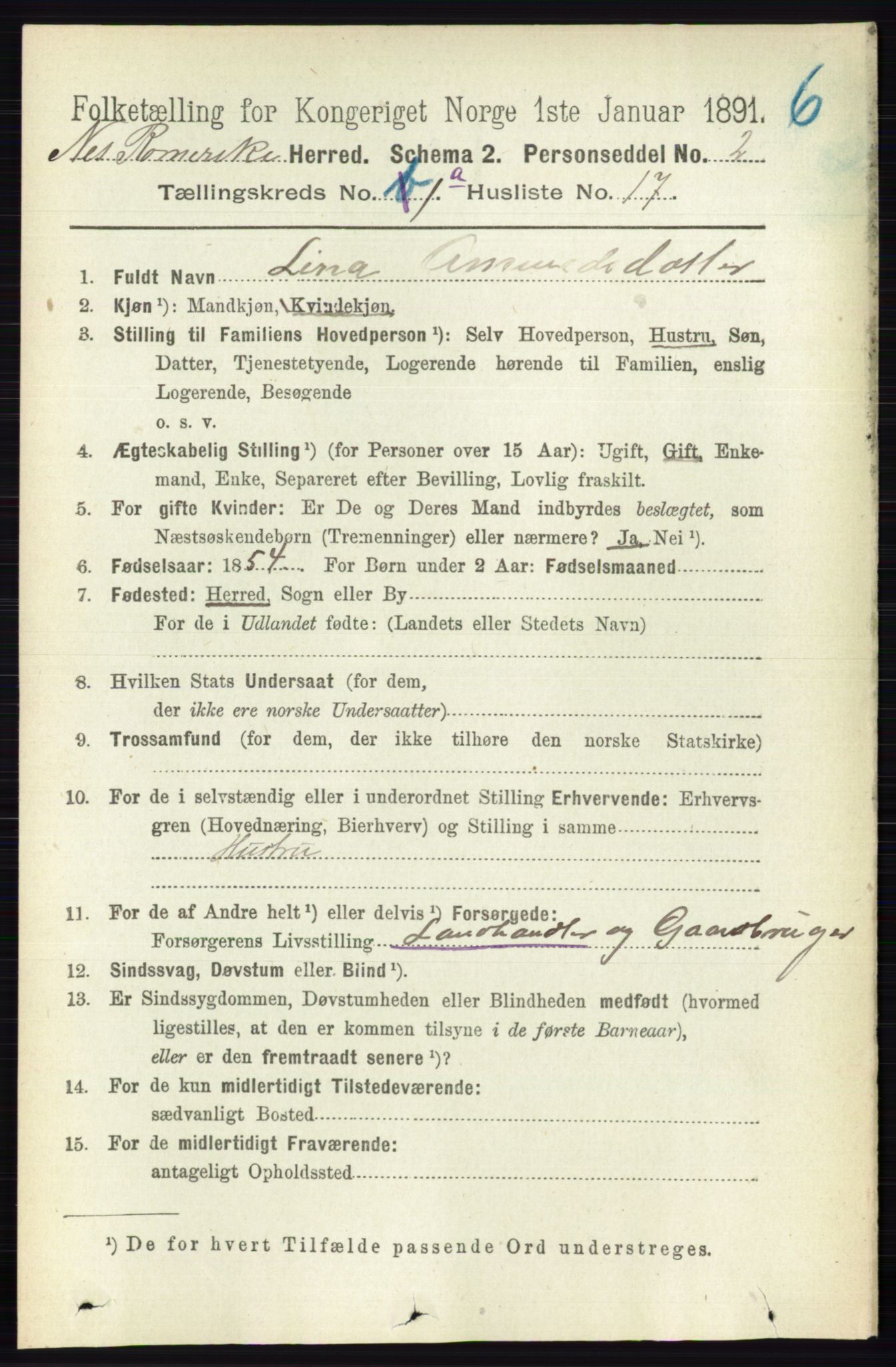 RA, Folketelling 1891 for 0236 Nes herred, 1891, s. 217