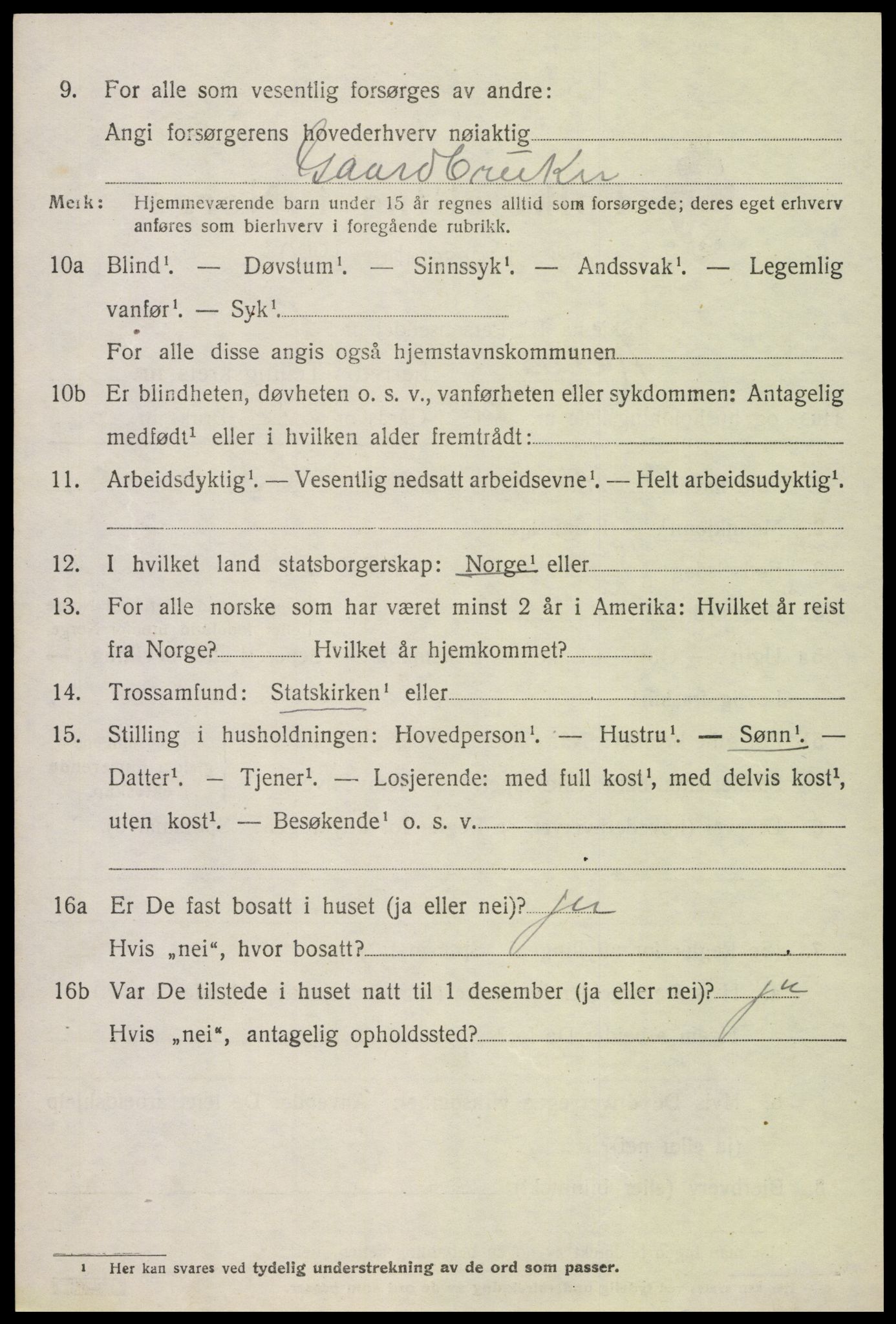 SAH, Folketelling 1920 for 0531 Kolbu herred, 1920, s. 3119