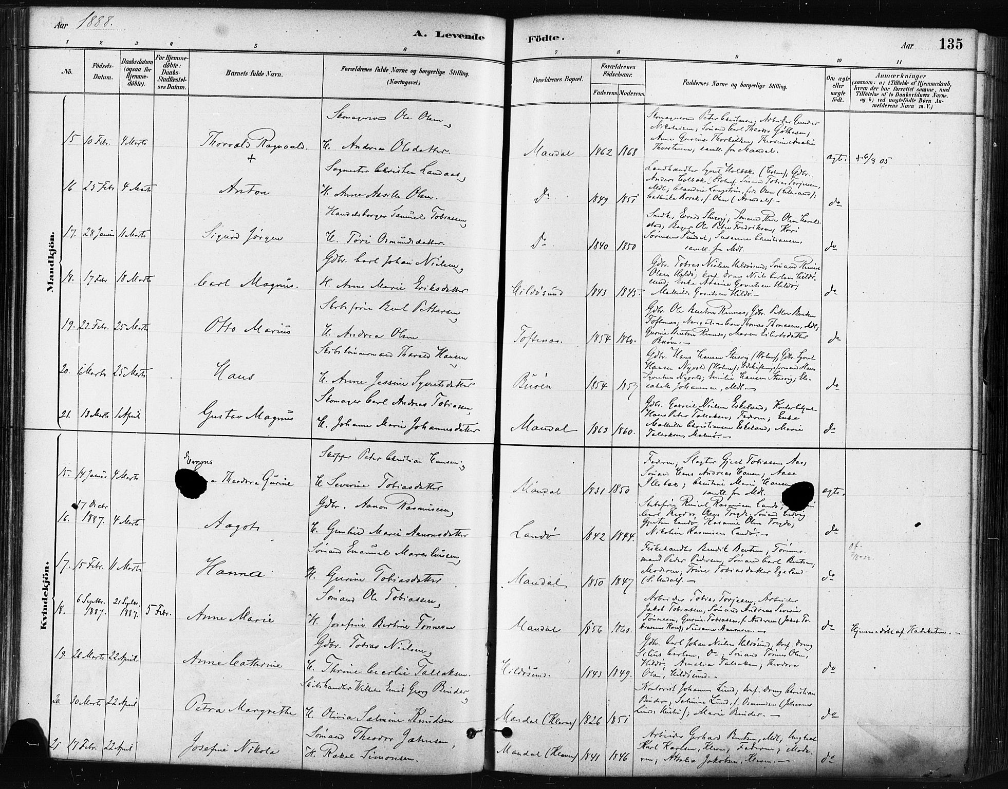 Mandal sokneprestkontor, SAK/1111-0030/F/Fa/Faa/L0016: Ministerialbok nr. A 16, 1880-1890, s. 135