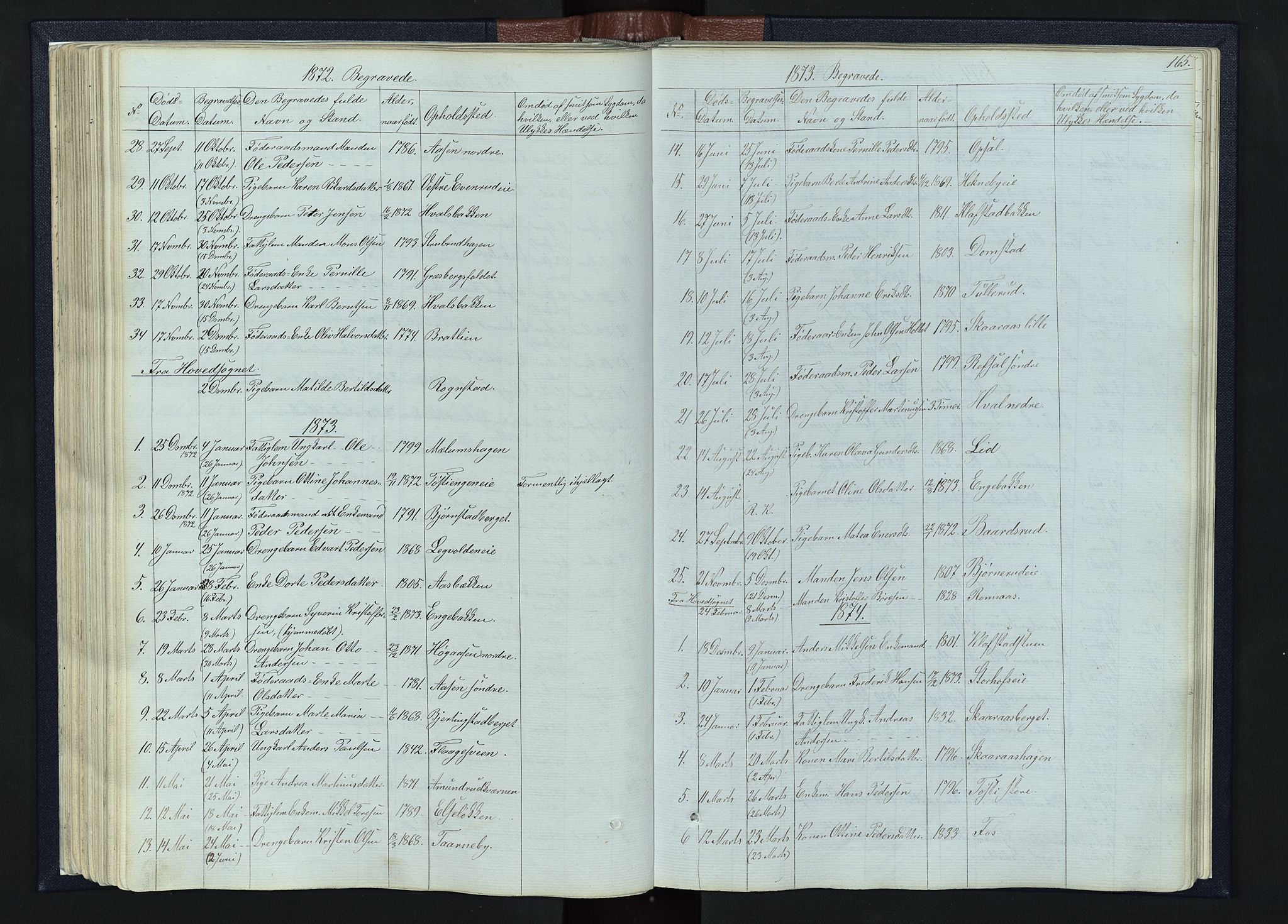 Romedal prestekontor, AV/SAH-PREST-004/L/L0010: Klokkerbok nr. 10, 1860-1895, s. 165