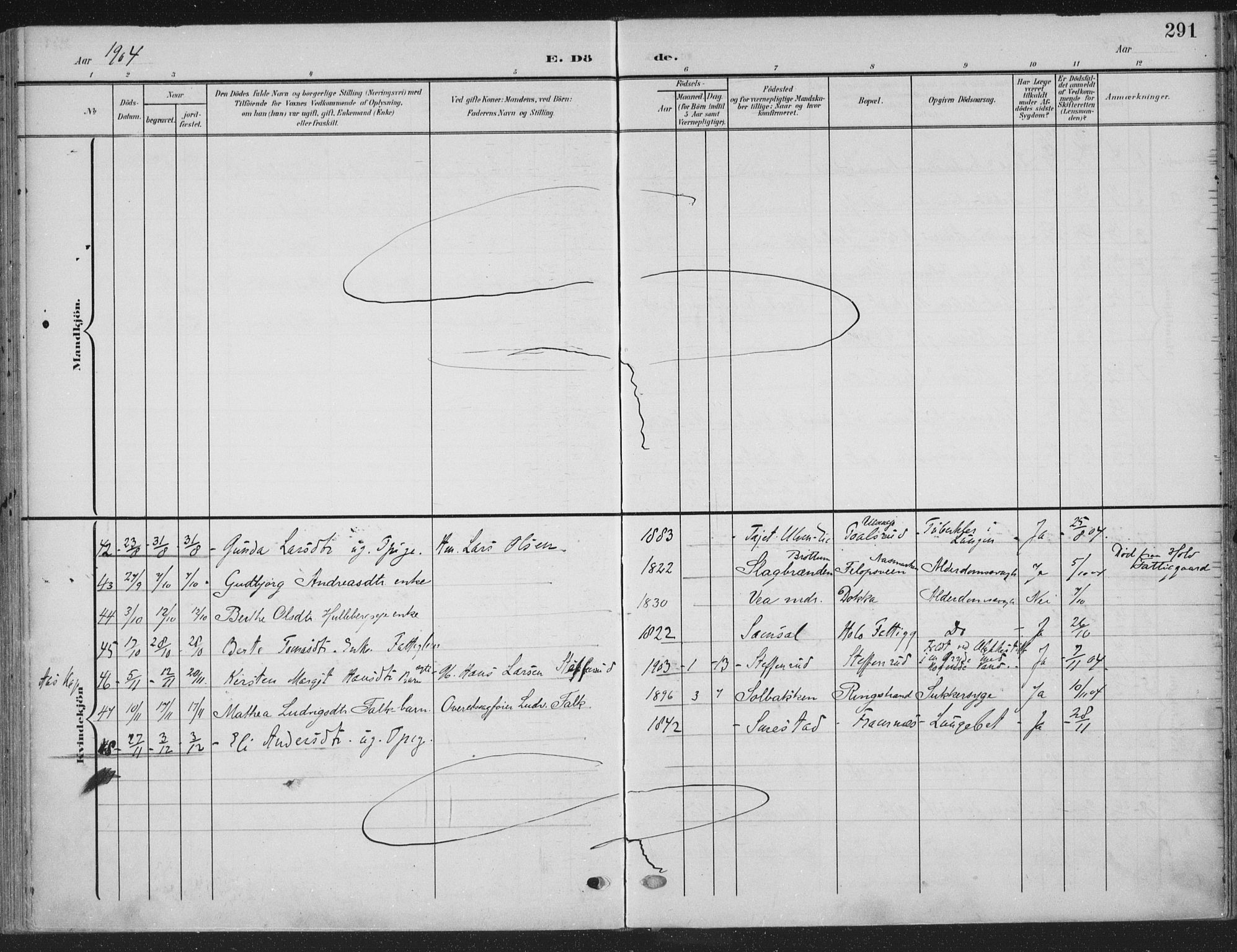 Ringsaker prestekontor, AV/SAH-PREST-014/K/Ka/L0018: Ministerialbok nr. 18, 1903-1912, s. 291