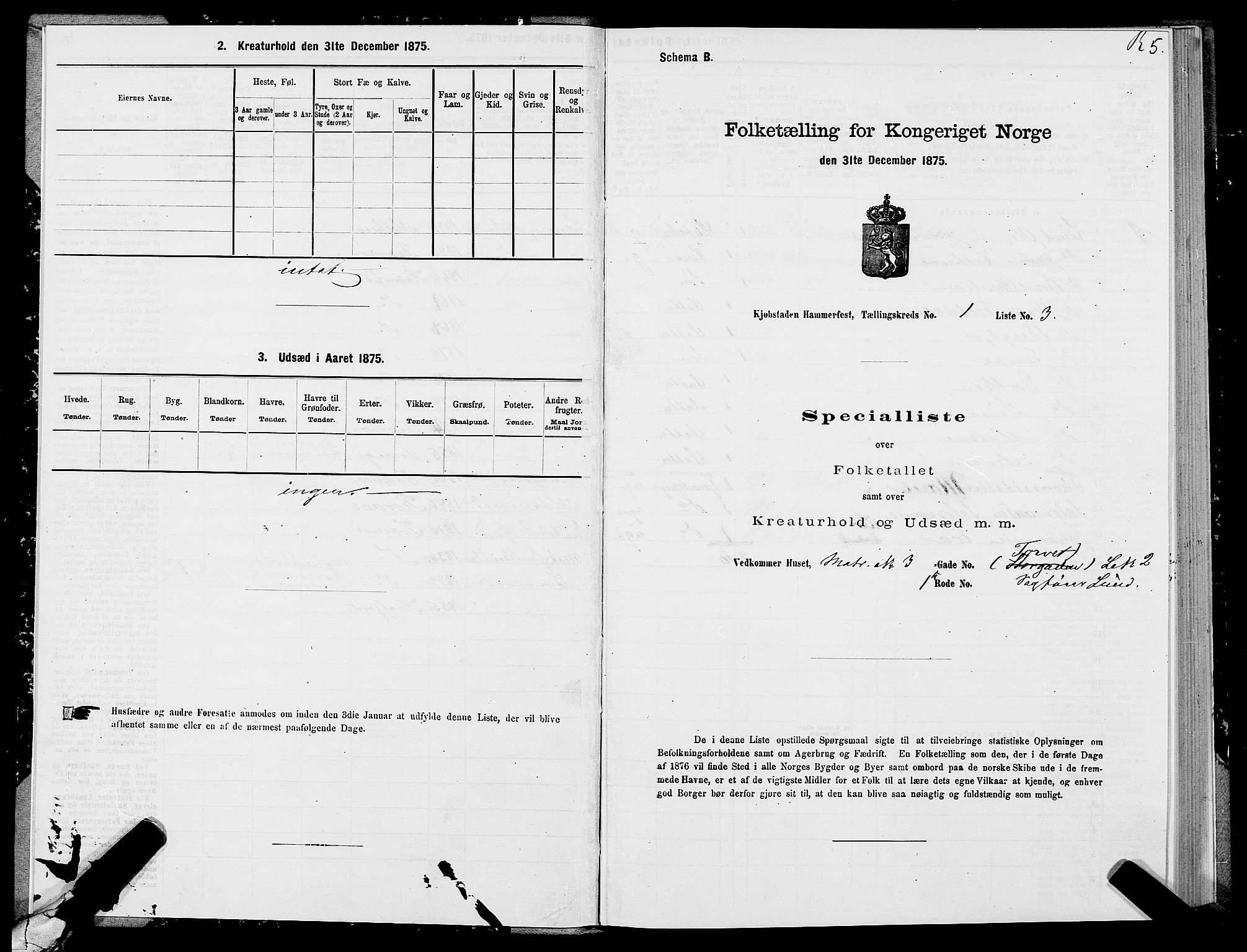 SATØ, Folketelling 1875 for 2001B Hammerfest prestegjeld, Hammerfest kjøpstad, 1875, s. 1005