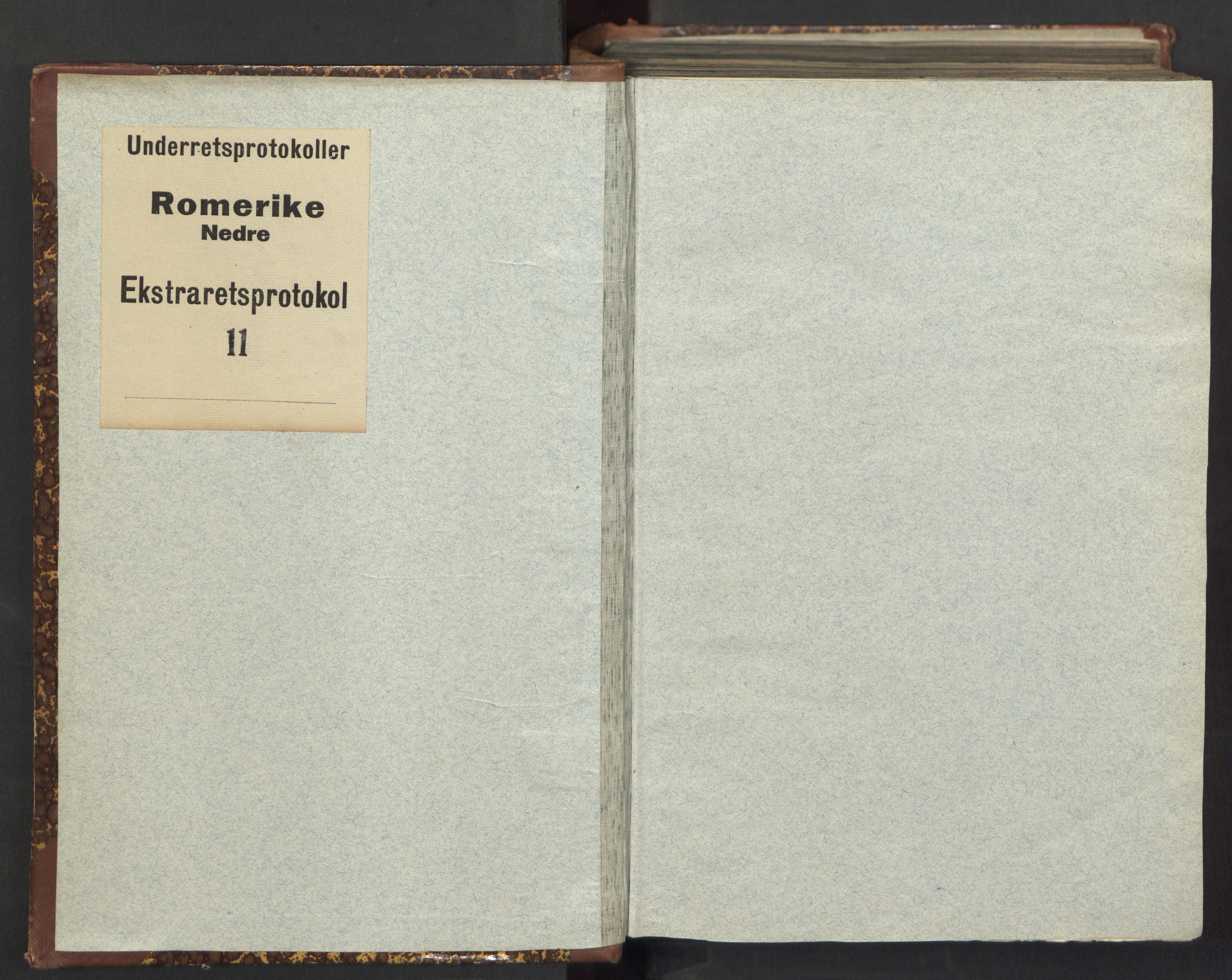 Nedre Romerike sorenskriveri, SAO/A-10469/F/Fc/L0011: Ekstrarettsprotokoll, 1829-1831