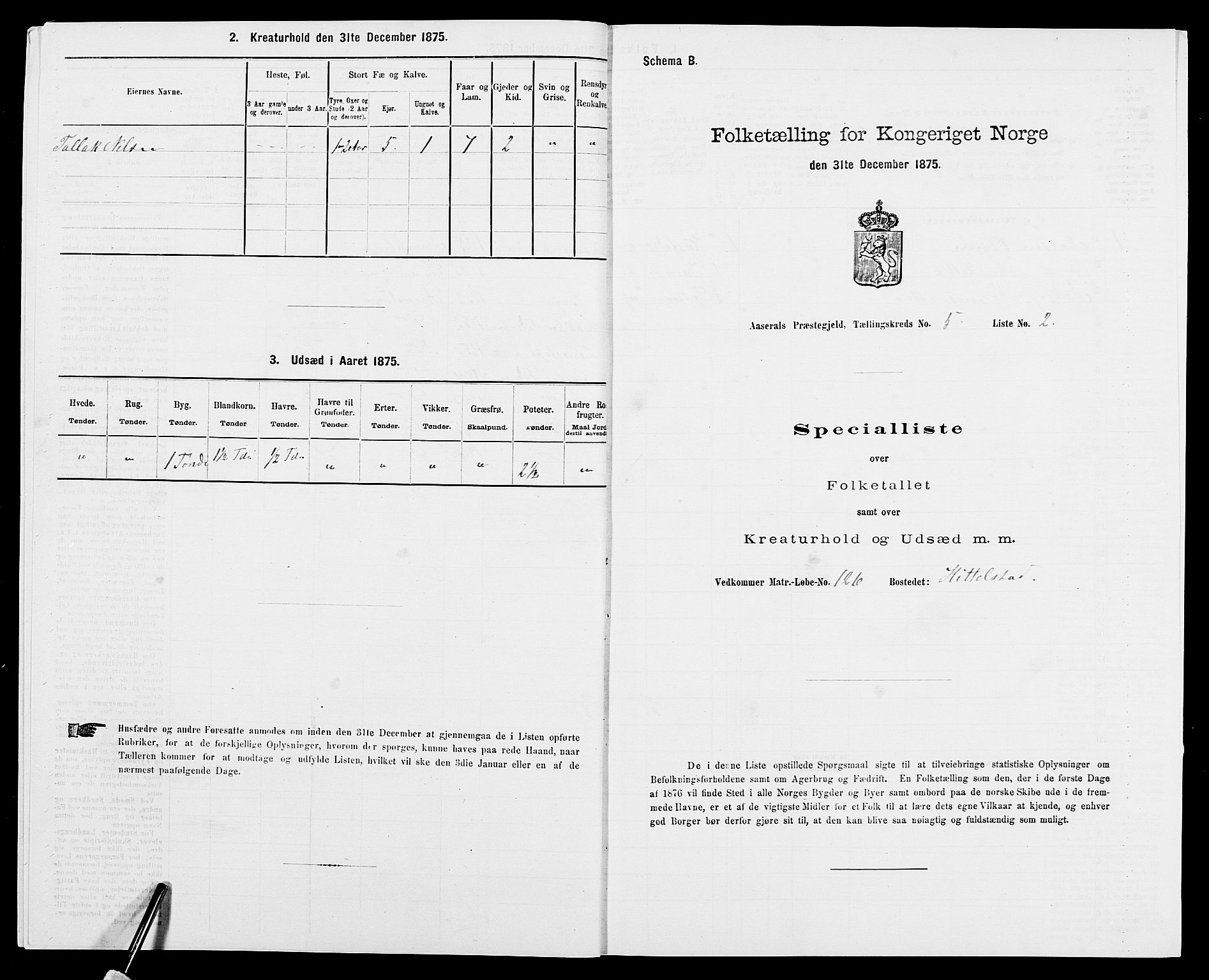 SAK, Folketelling 1875 for 0980P Åseral prestegjeld, 1875, s. 351