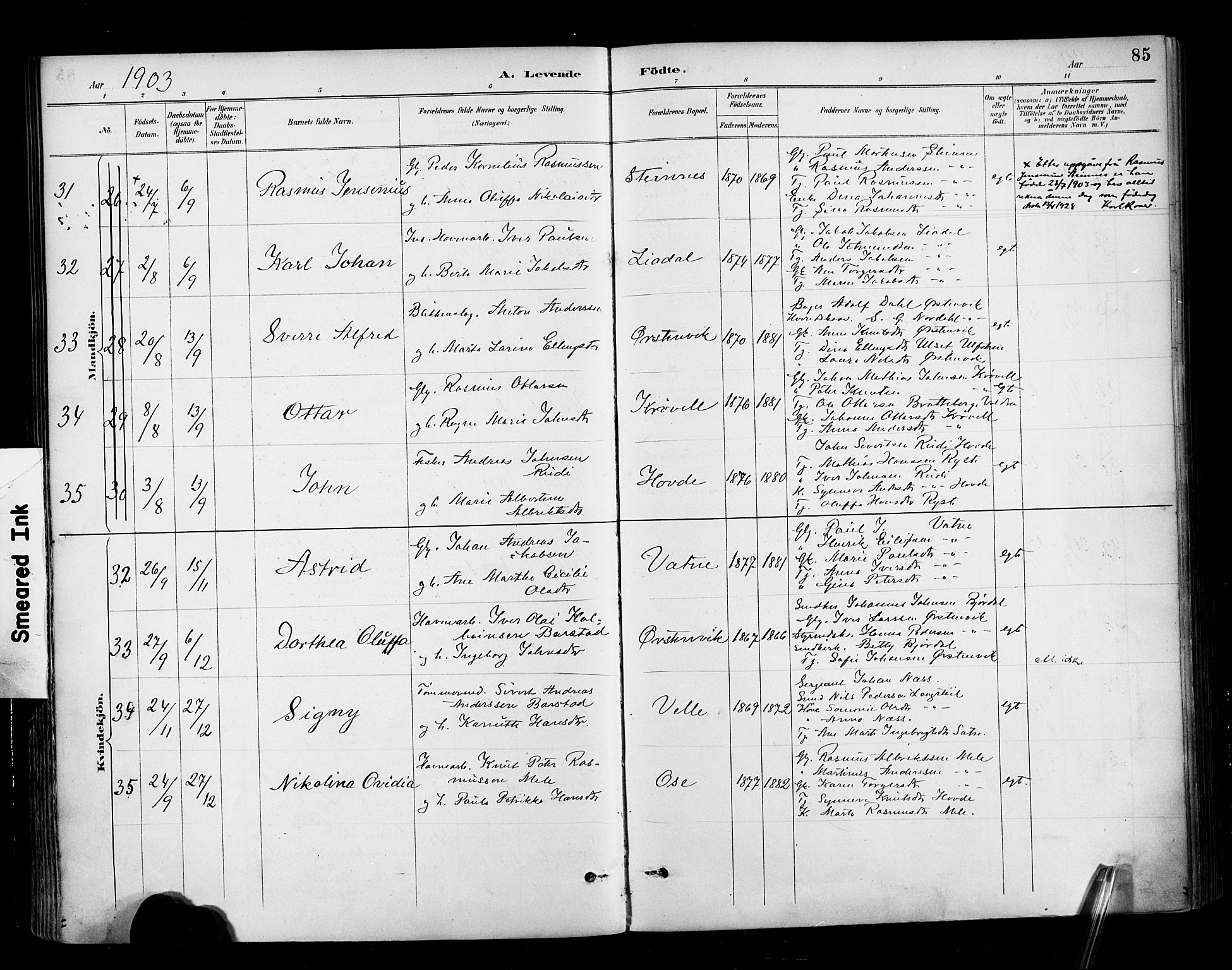 Ministerialprotokoller, klokkerbøker og fødselsregistre - Møre og Romsdal, SAT/A-1454/513/L0177: Ministerialbok nr. 513A04, 1890-1906, s. 85