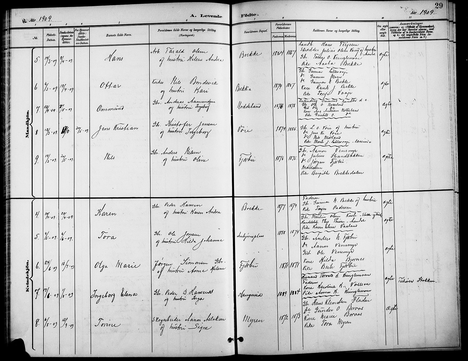 Austre Moland sokneprestkontor, AV/SAK-1111-0001/F/Fb/Fba/L0004: Klokkerbok nr. B 4a, 1897-1913, s. 29