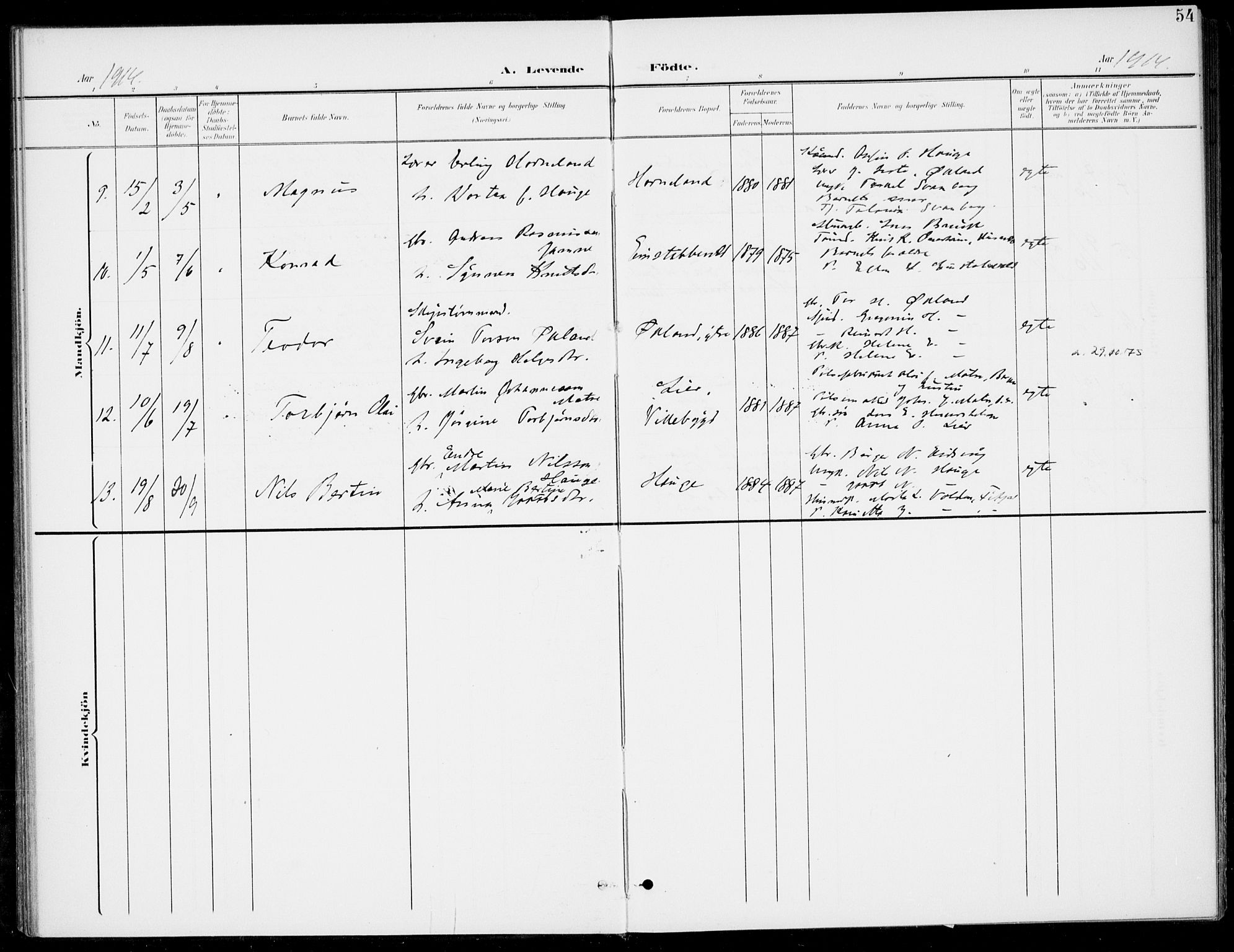 Sveio Sokneprestembete, AV/SAB-A-78501/H/Haa: Ministerialbok nr. C 3, 1899-1916, s. 54