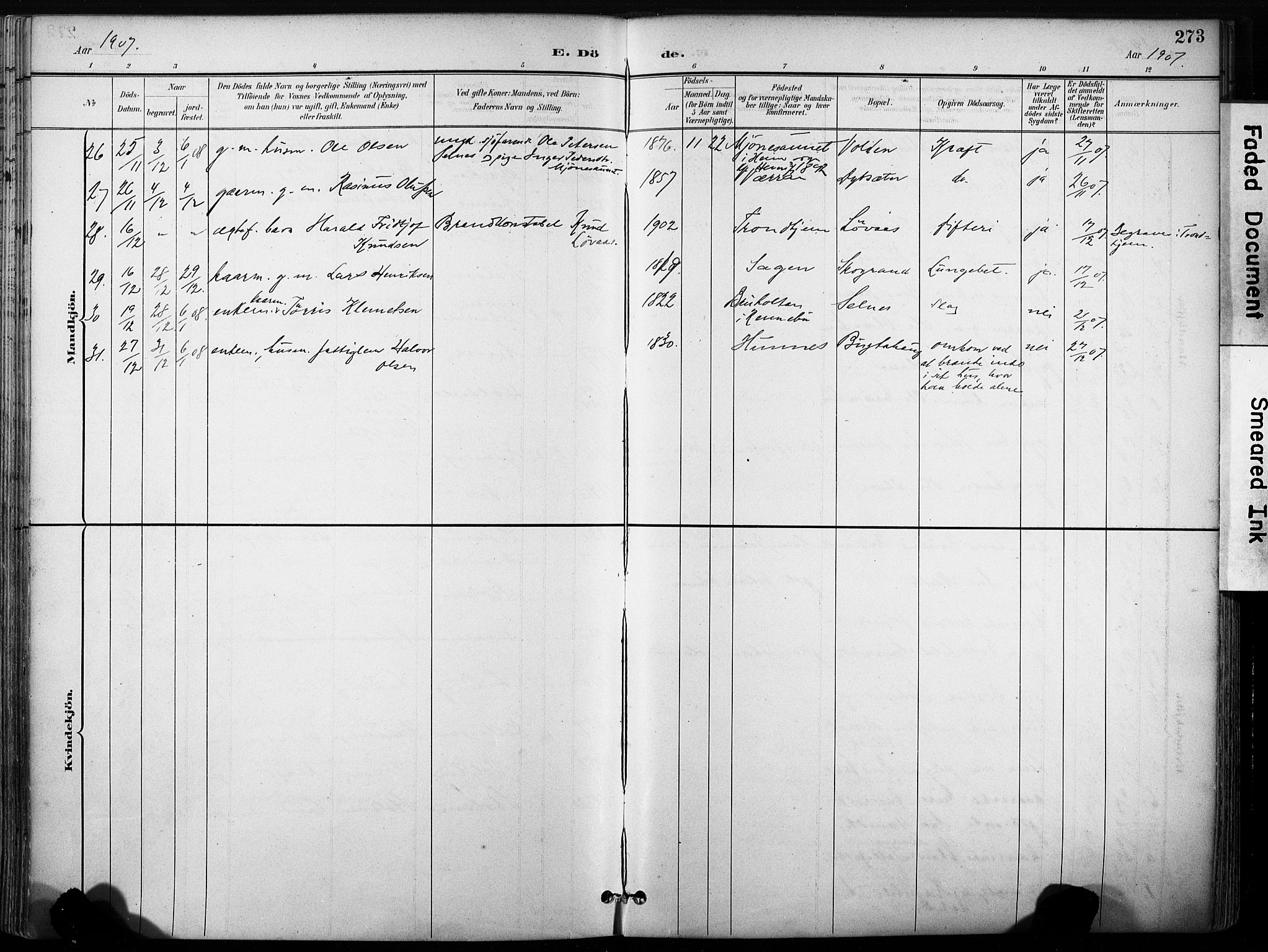 Ministerialprotokoller, klokkerbøker og fødselsregistre - Sør-Trøndelag, AV/SAT-A-1456/630/L0497: Ministerialbok nr. 630A10, 1896-1910, s. 273