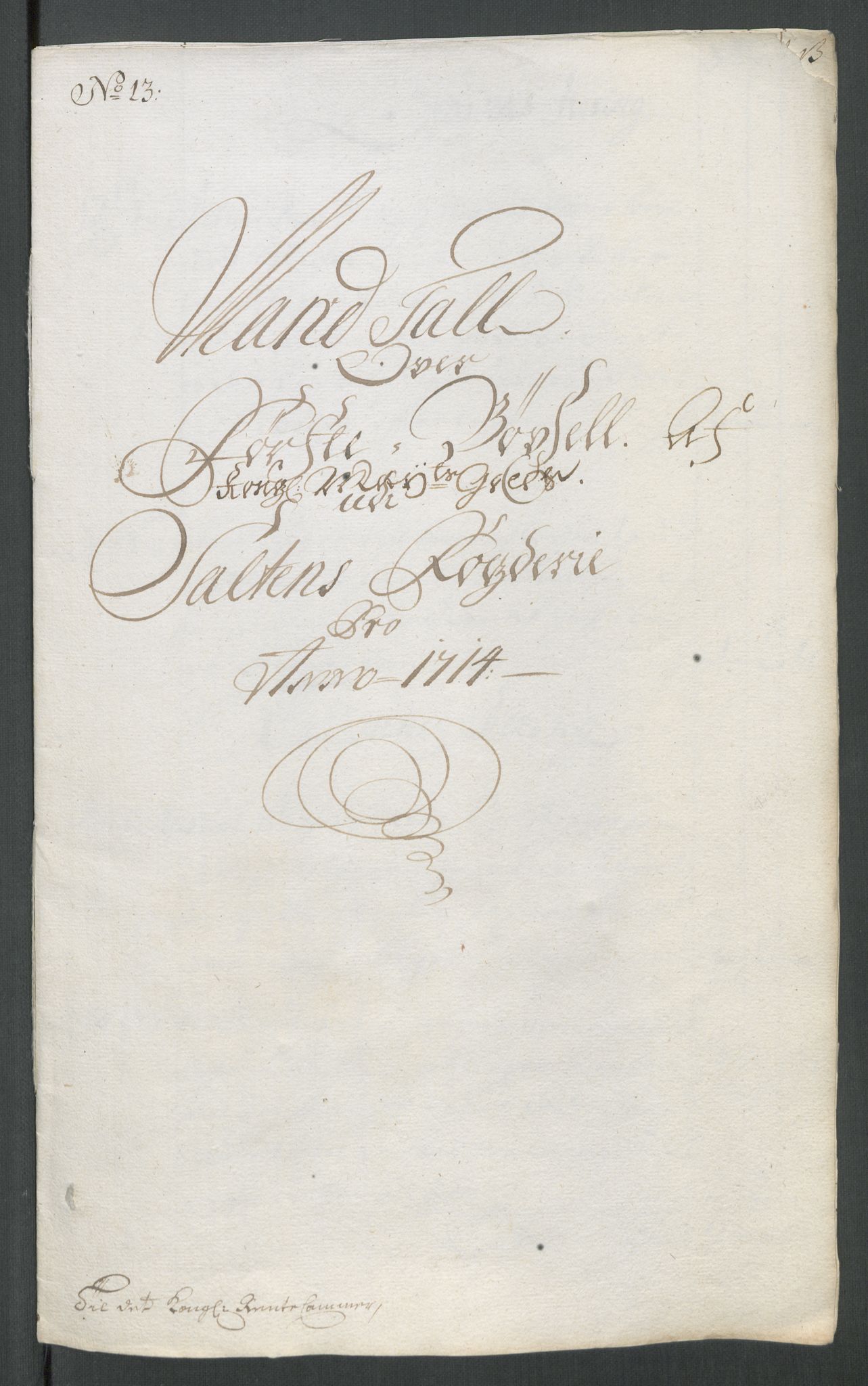 Rentekammeret inntil 1814, Reviderte regnskaper, Fogderegnskap, RA/EA-4092/R66/L4584: Fogderegnskap Salten, 1714, s. 229
