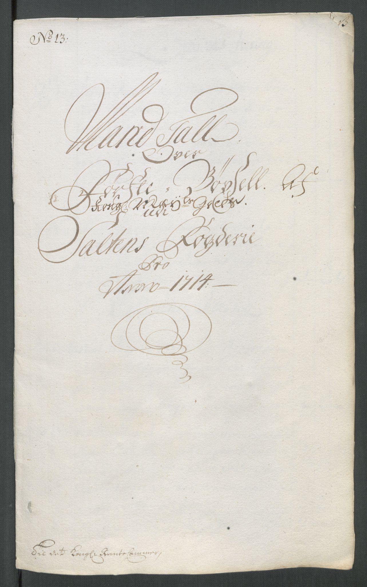 Rentekammeret inntil 1814, Reviderte regnskaper, Fogderegnskap, AV/RA-EA-4092/R66/L4584: Fogderegnskap Salten, 1714, s. 229