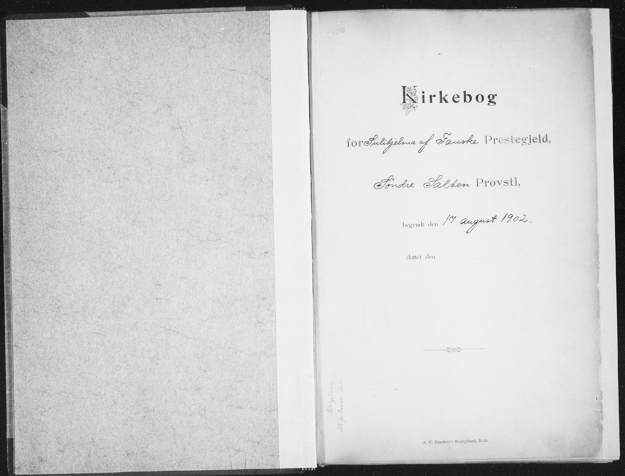 Ministerialprotokoller, klokkerbøker og fødselsregistre - Nordland, SAT/A-1459/850/L0711: Residerende kapellans bok nr. 850B01, 1902-1915