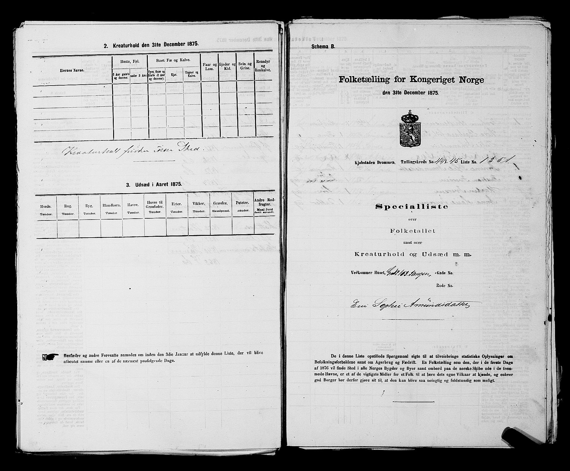 SAKO, Folketelling 1875 for 0602 Drammen kjøpstad, 1875, s. 3661