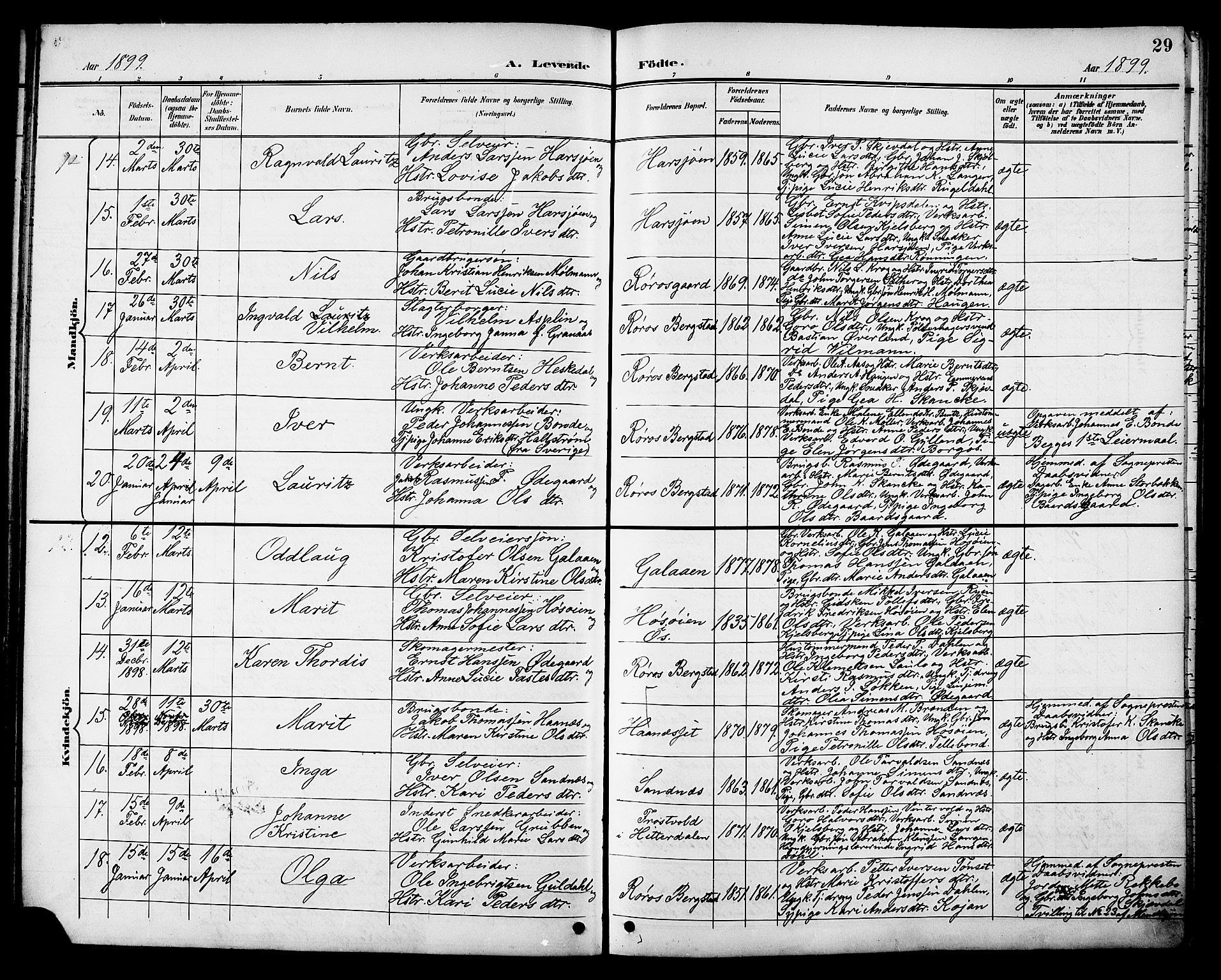 Ministerialprotokoller, klokkerbøker og fødselsregistre - Sør-Trøndelag, AV/SAT-A-1456/681/L0941: Klokkerbok nr. 681C05, 1896-1905, s. 29