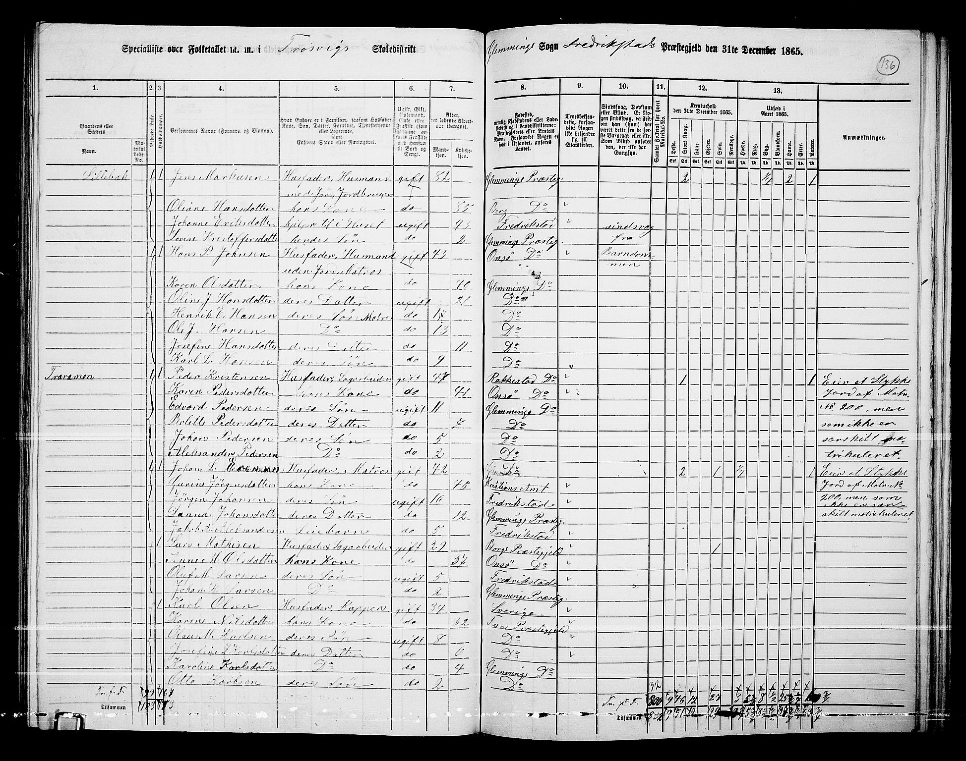 RA, Folketelling 1865 for 0132L Fredrikstad prestegjeld, Glemmen sokn, 1865, s. 132