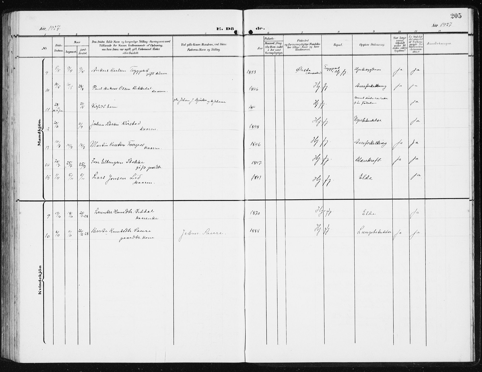 Ministerialprotokoller, klokkerbøker og fødselsregistre - Møre og Romsdal, SAT/A-1454/515/L0216: Klokkerbok nr. 515C03, 1906-1941, s. 205