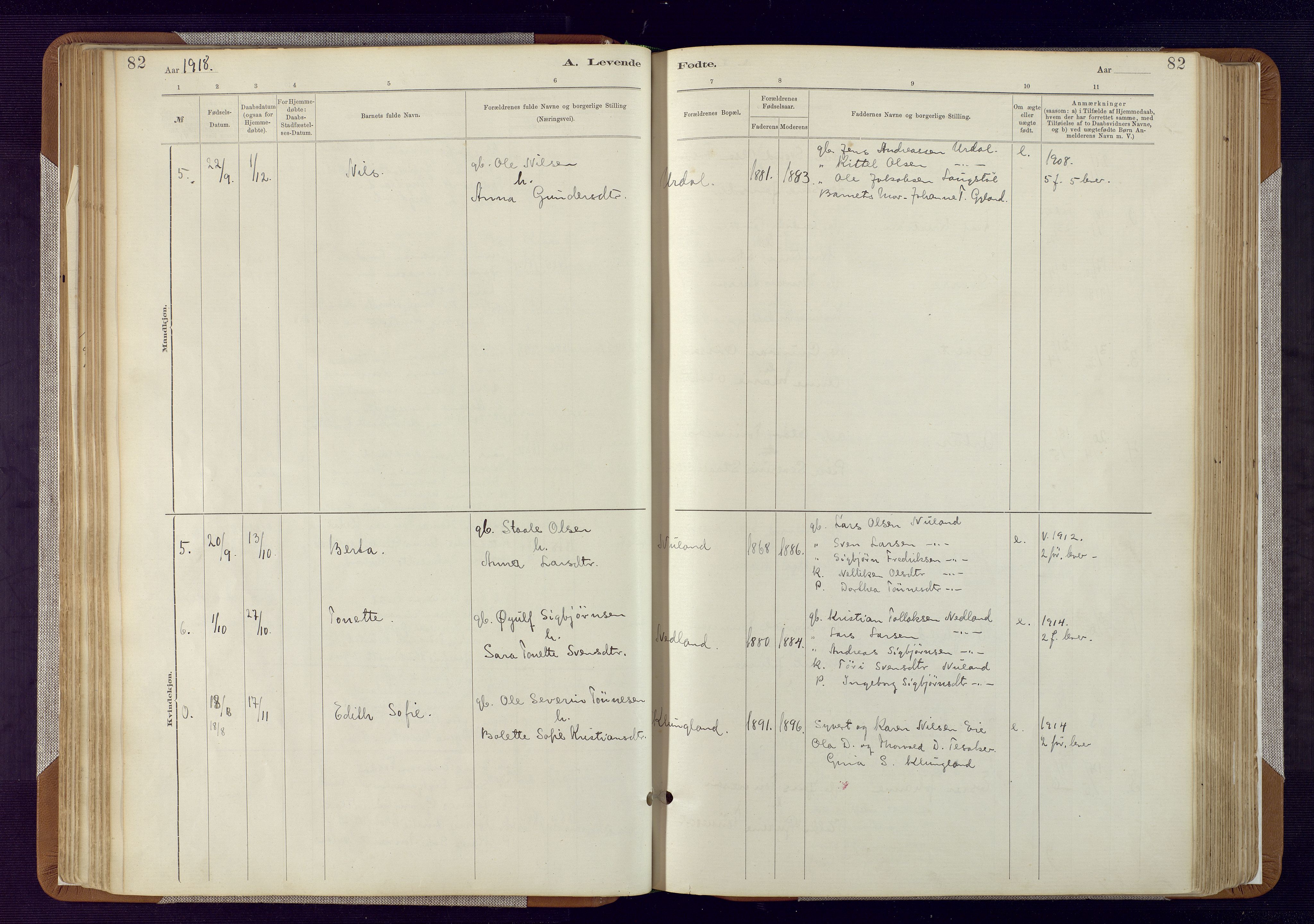 Bakke sokneprestkontor, SAK/1111-0002/F/Fa/Fab/L0003: Ministerialbok nr. A 3, 1884-1921, s. 82