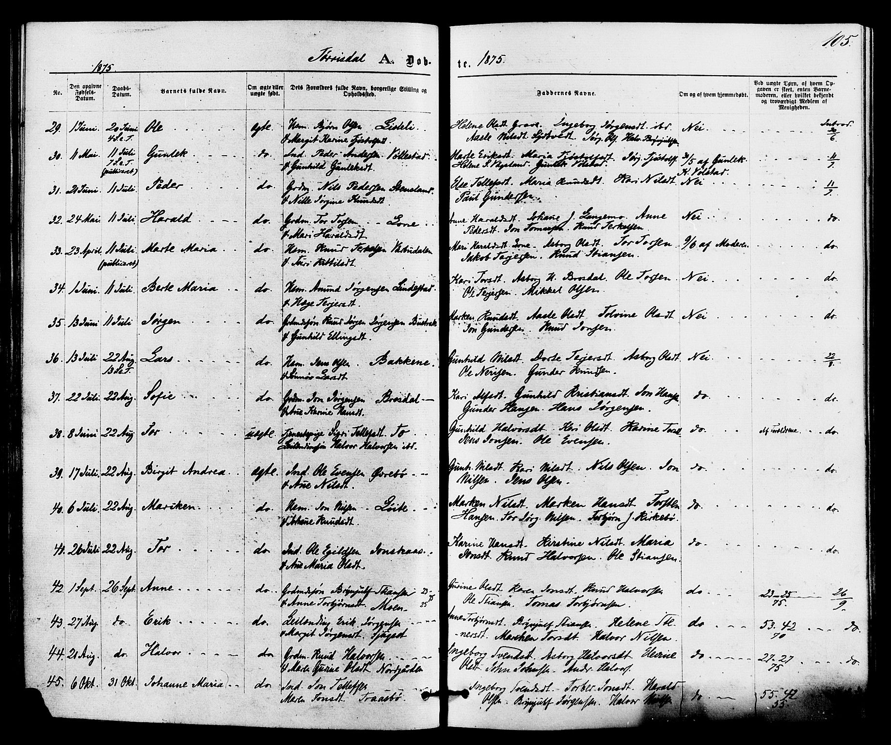 Drangedal kirkebøker, SAKO/A-258/F/Fa/L0009: Ministerialbok nr. 9 /2, 1872-1884, s. 105