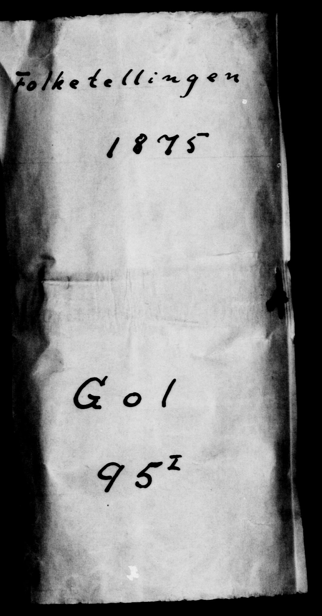 SAKO, Folketelling 1875 for 0617P Gol prestegjeld, 1875, s. 50