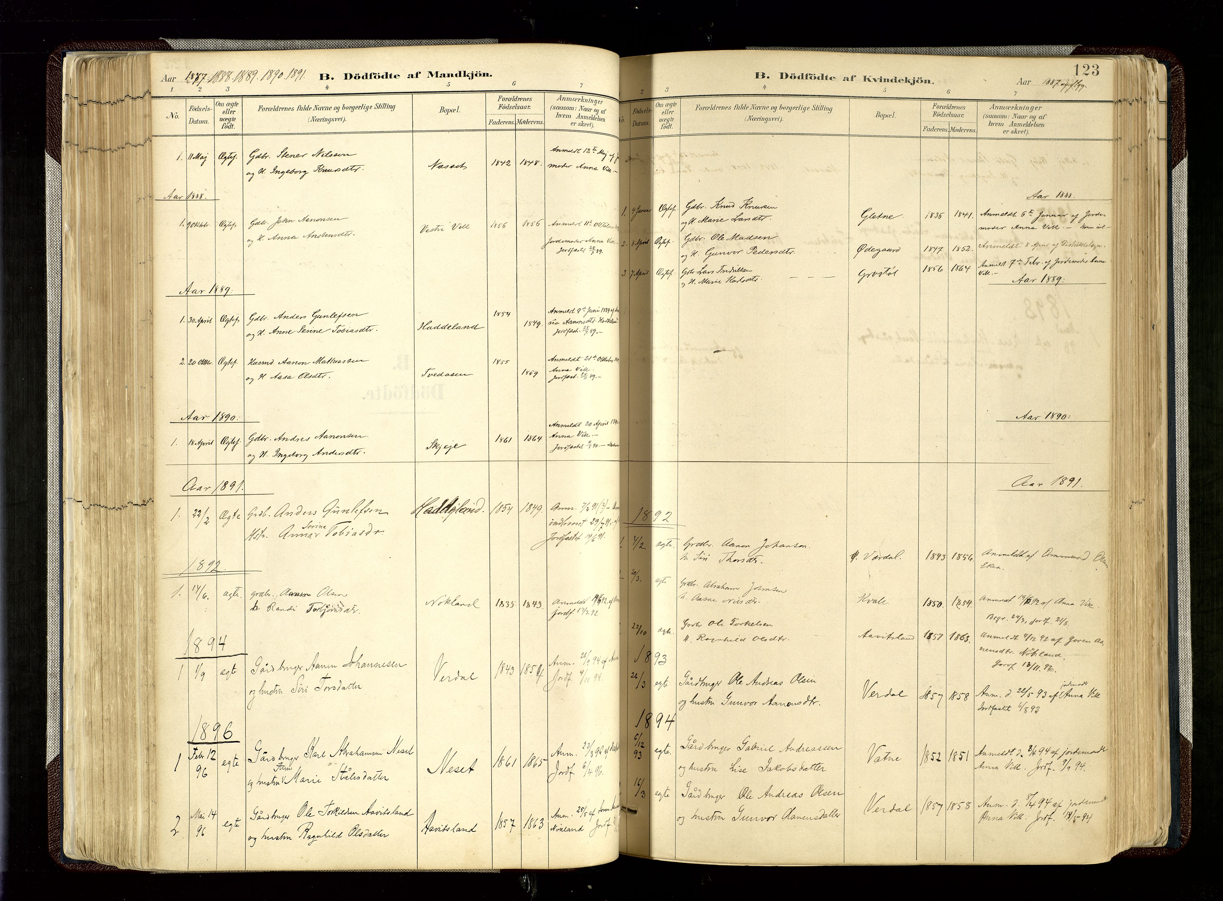 Hægebostad sokneprestkontor, SAK/1111-0024/F/Fa/Fab/L0004: Ministerialbok nr. A 4, 1887-1929, s. 123