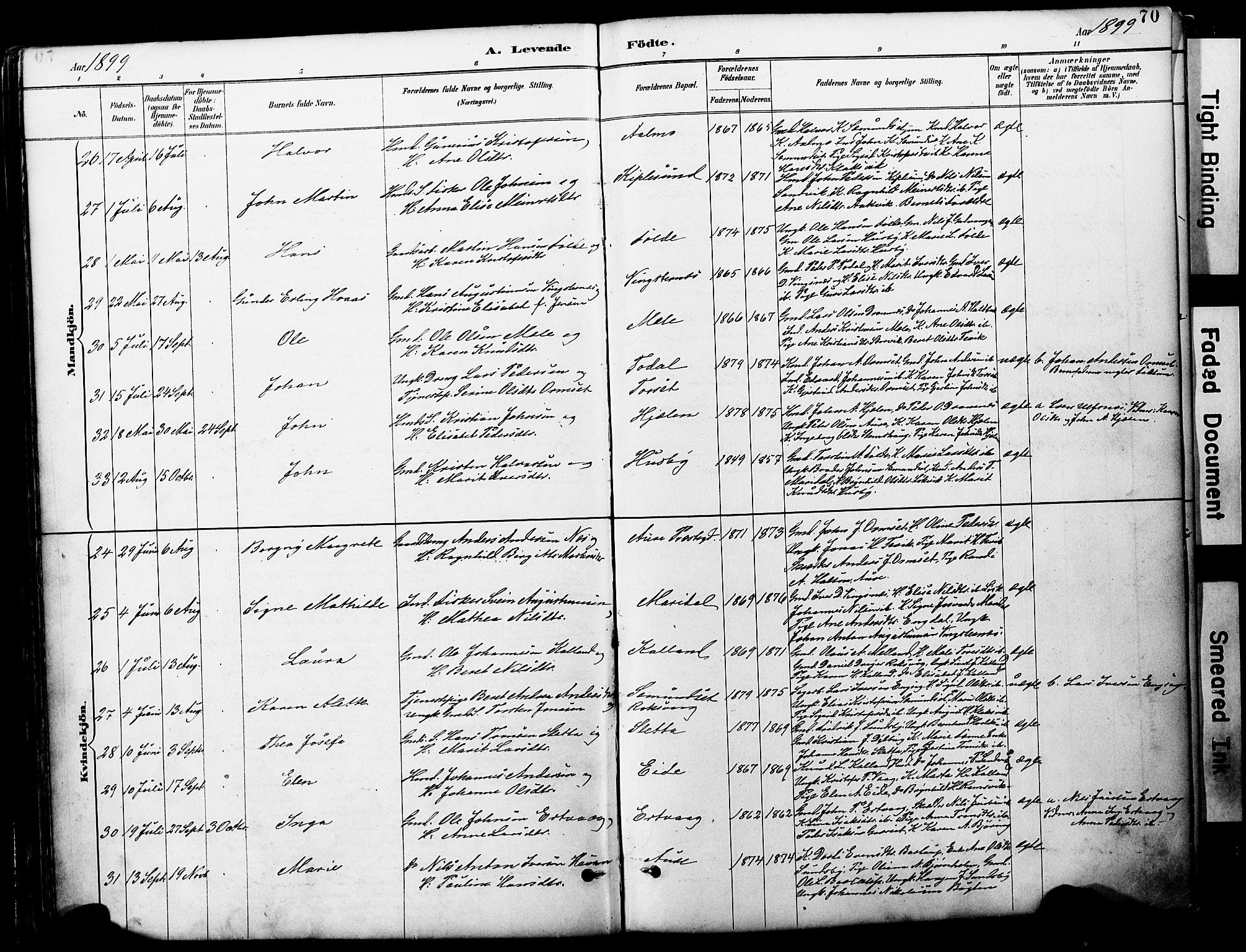 Ministerialprotokoller, klokkerbøker og fødselsregistre - Møre og Romsdal, AV/SAT-A-1454/578/L0907: Ministerialbok nr. 578A06, 1887-1904, s. 70