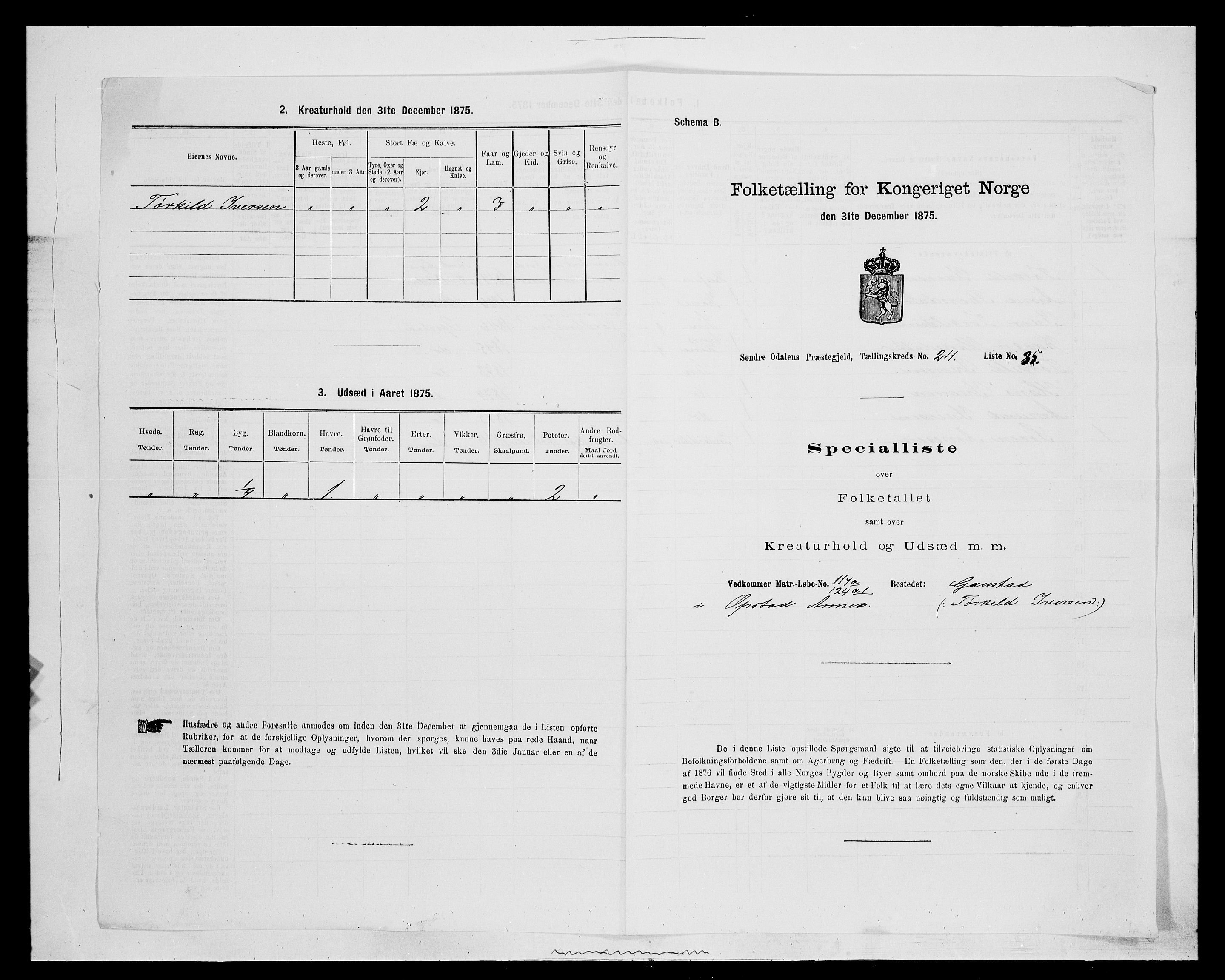 SAH, Folketelling 1875 for 0419P Sør-Odal prestegjeld, 1875, s. 2089