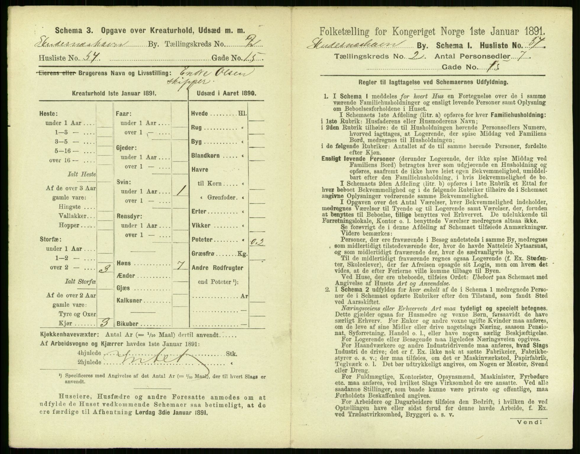 RA, Folketelling 1891 for 1104 Skudeneshavn ladested, 1891, s. 166