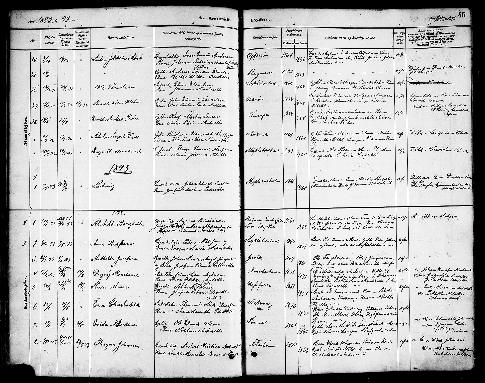Ministerialprotokoller, klokkerbøker og fødselsregistre - Nordland, SAT/A-1459/817/L0268: Klokkerbok nr. 817C03, 1884-1920, s. 45