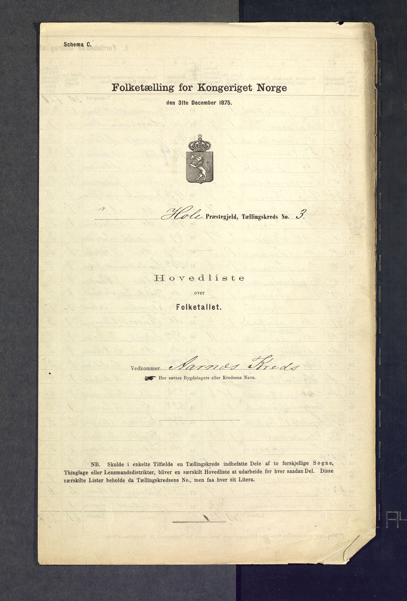 SAKO, Folketelling 1875 for 0612P Hole prestegjeld, 1875, s. 13