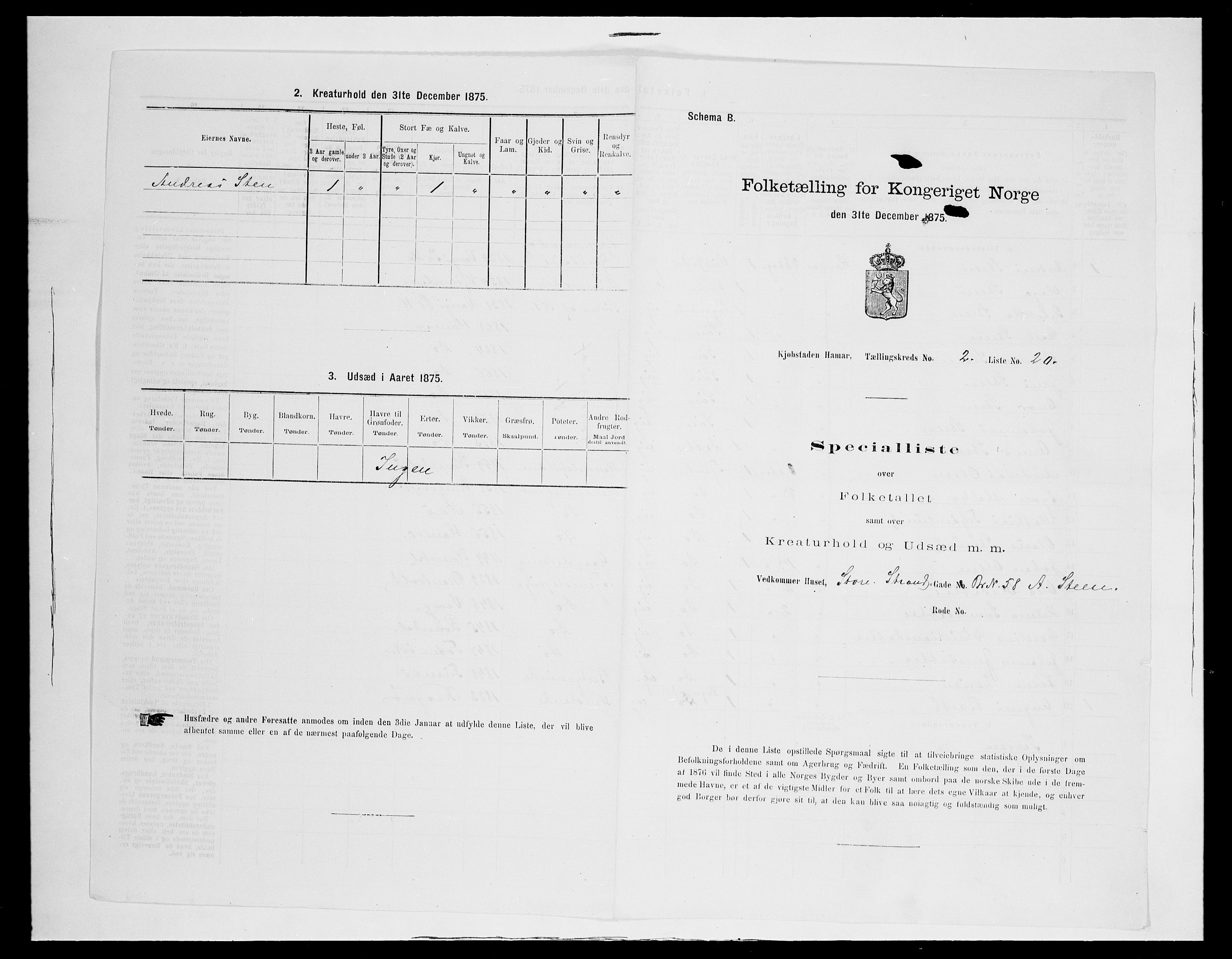 SAH, Folketelling 1875 for 0401B Vang prestegjeld, Hamar kjøpstad, 1875, s. 190