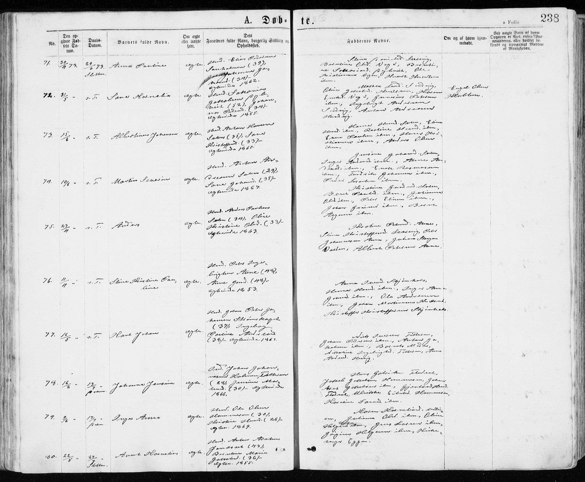 Ministerialprotokoller, klokkerbøker og fødselsregistre - Sør-Trøndelag, SAT/A-1456/640/L0576: Ministerialbok nr. 640A01, 1846-1876, s. 238