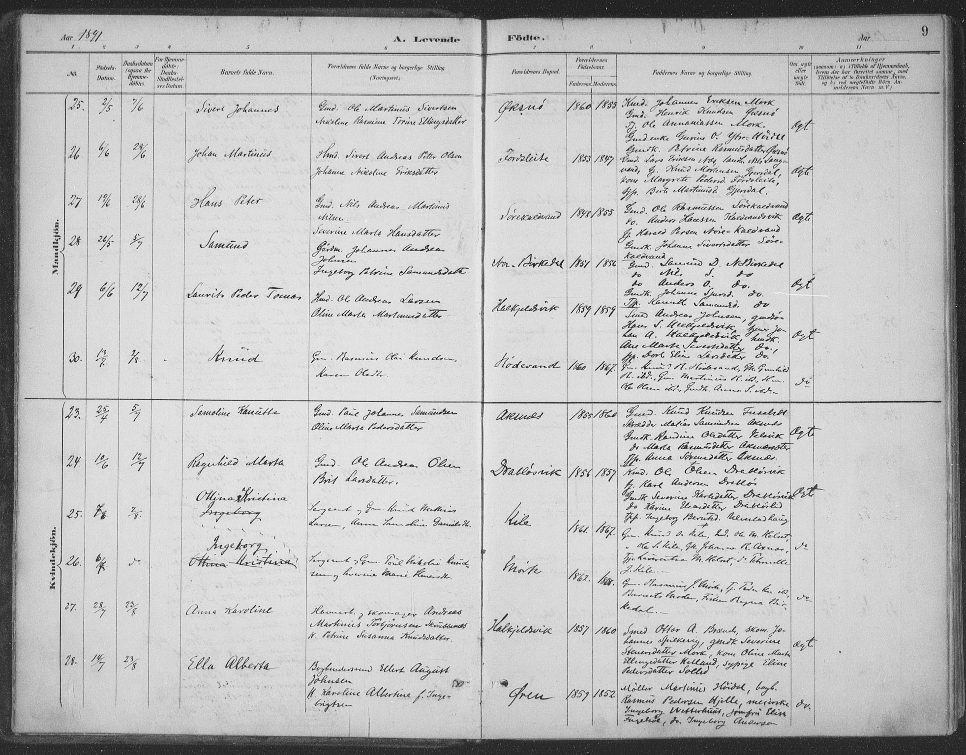 Ministerialprotokoller, klokkerbøker og fødselsregistre - Møre og Romsdal, AV/SAT-A-1454/511/L0142: Ministerialbok nr. 511A09, 1891-1905, s. 9