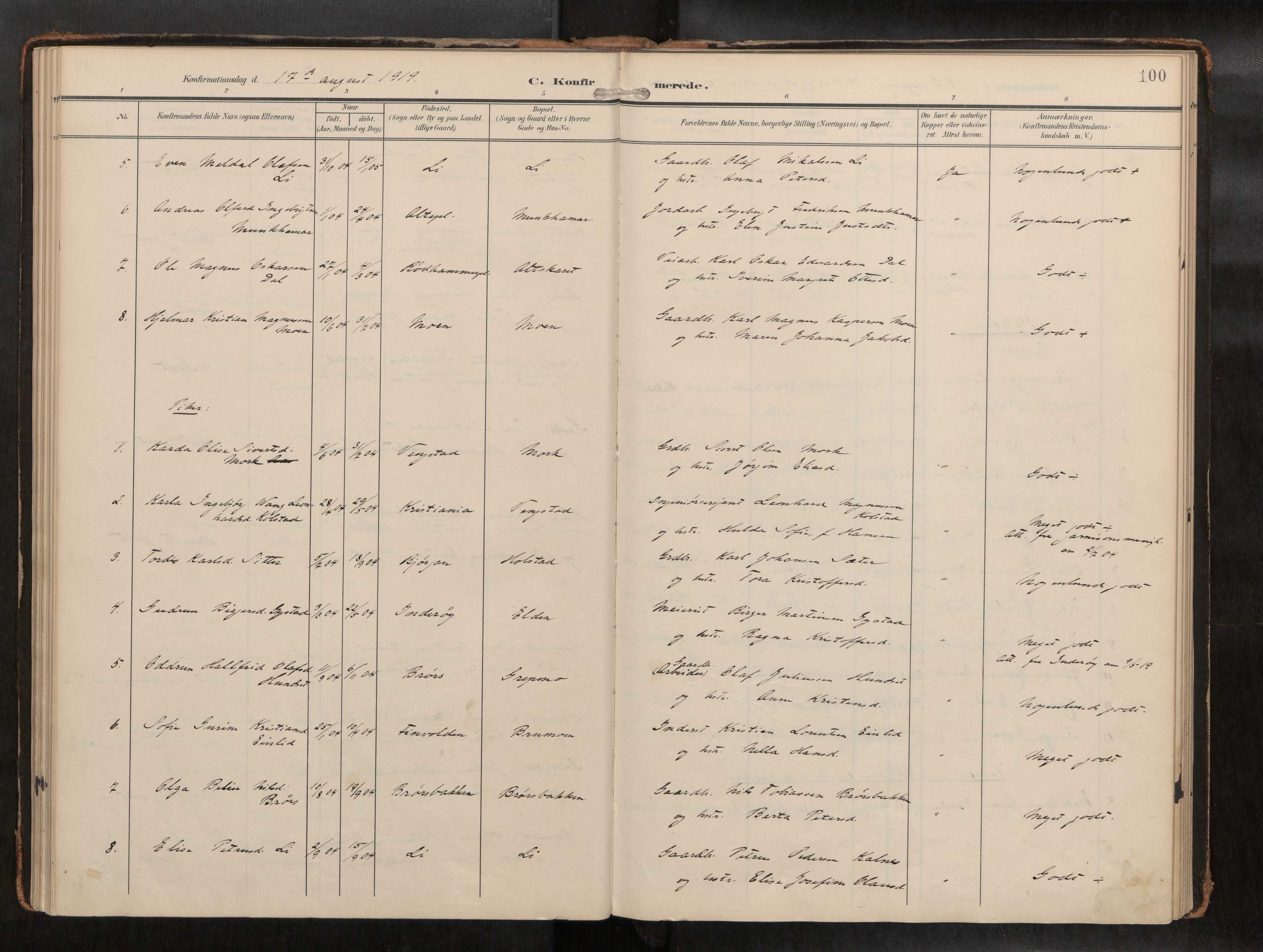 Ministerialprotokoller, klokkerbøker og fødselsregistre - Nord-Trøndelag, AV/SAT-A-1458/742/L0409a: Ministerialbok nr. 742A03, 1906-1924, s. 100