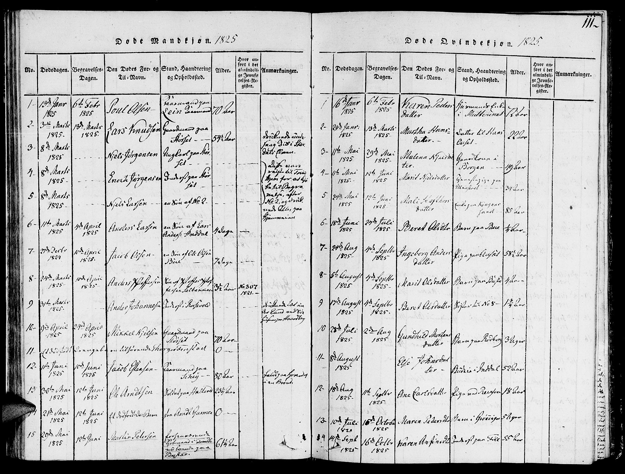Ministerialprotokoller, klokkerbøker og fødselsregistre - Sør-Trøndelag, AV/SAT-A-1456/646/L0608: Ministerialbok nr. 646A06, 1816-1825, s. 111